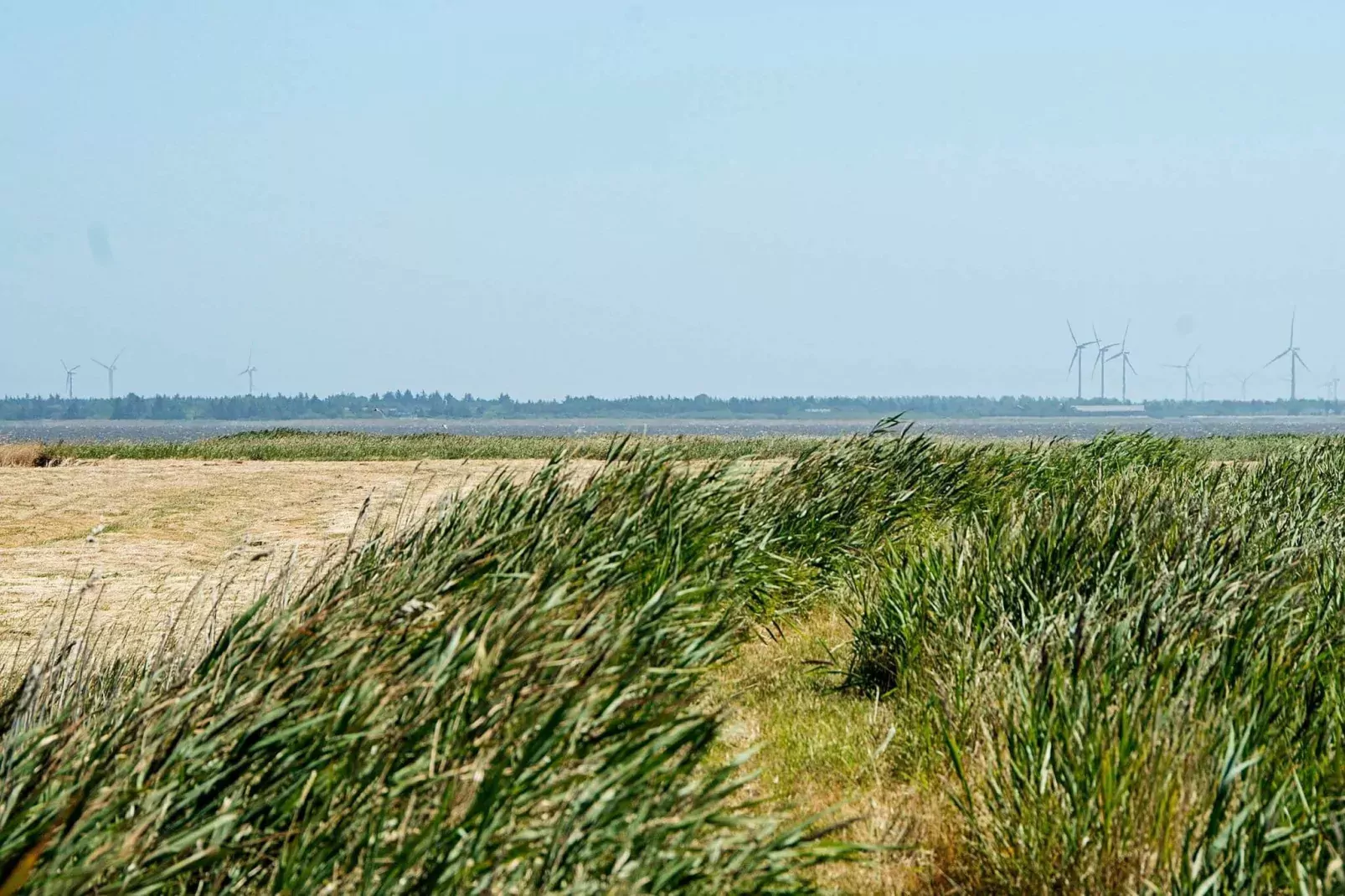 8 person holiday home in Ulfborg