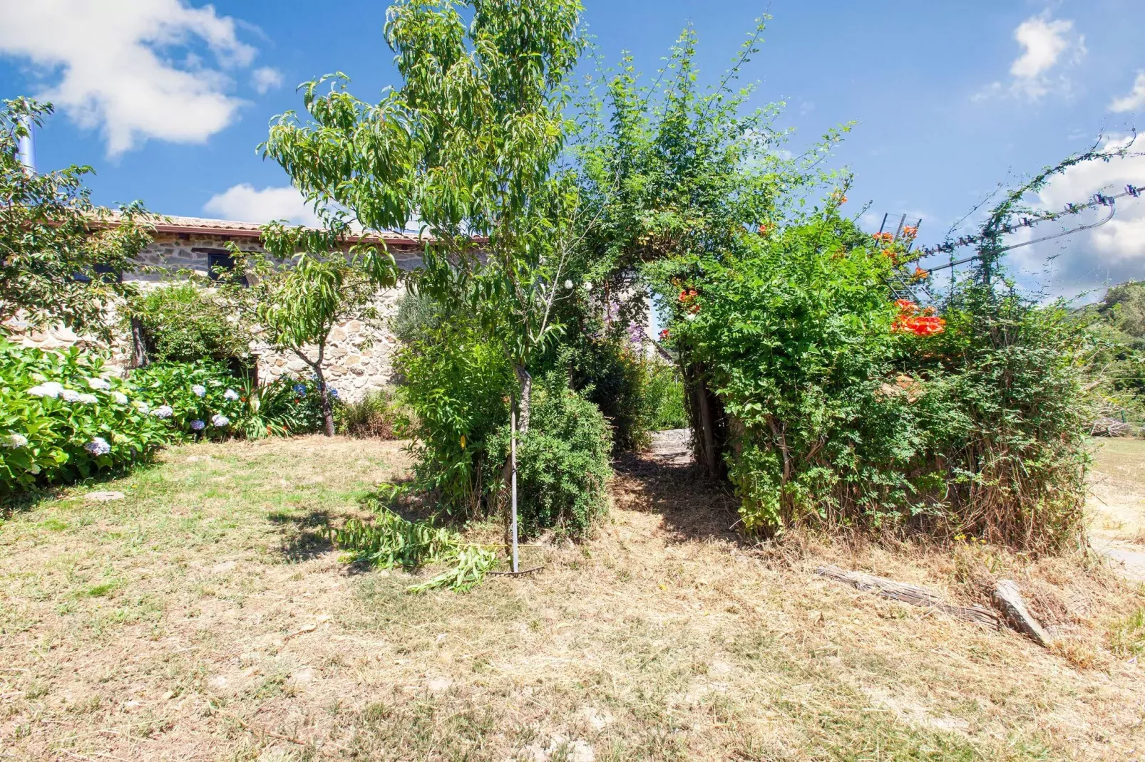 La Casita Ribeira Sacra-Gardens summer