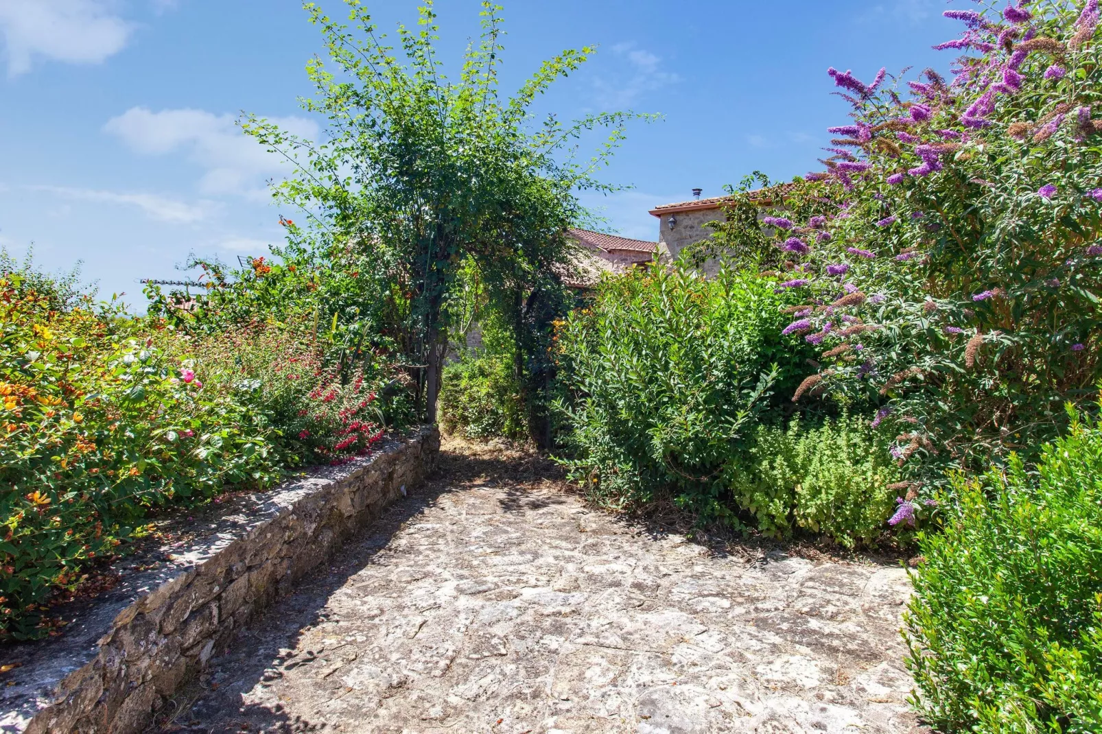La Casita Ribeira Sacra-Gardens summer
