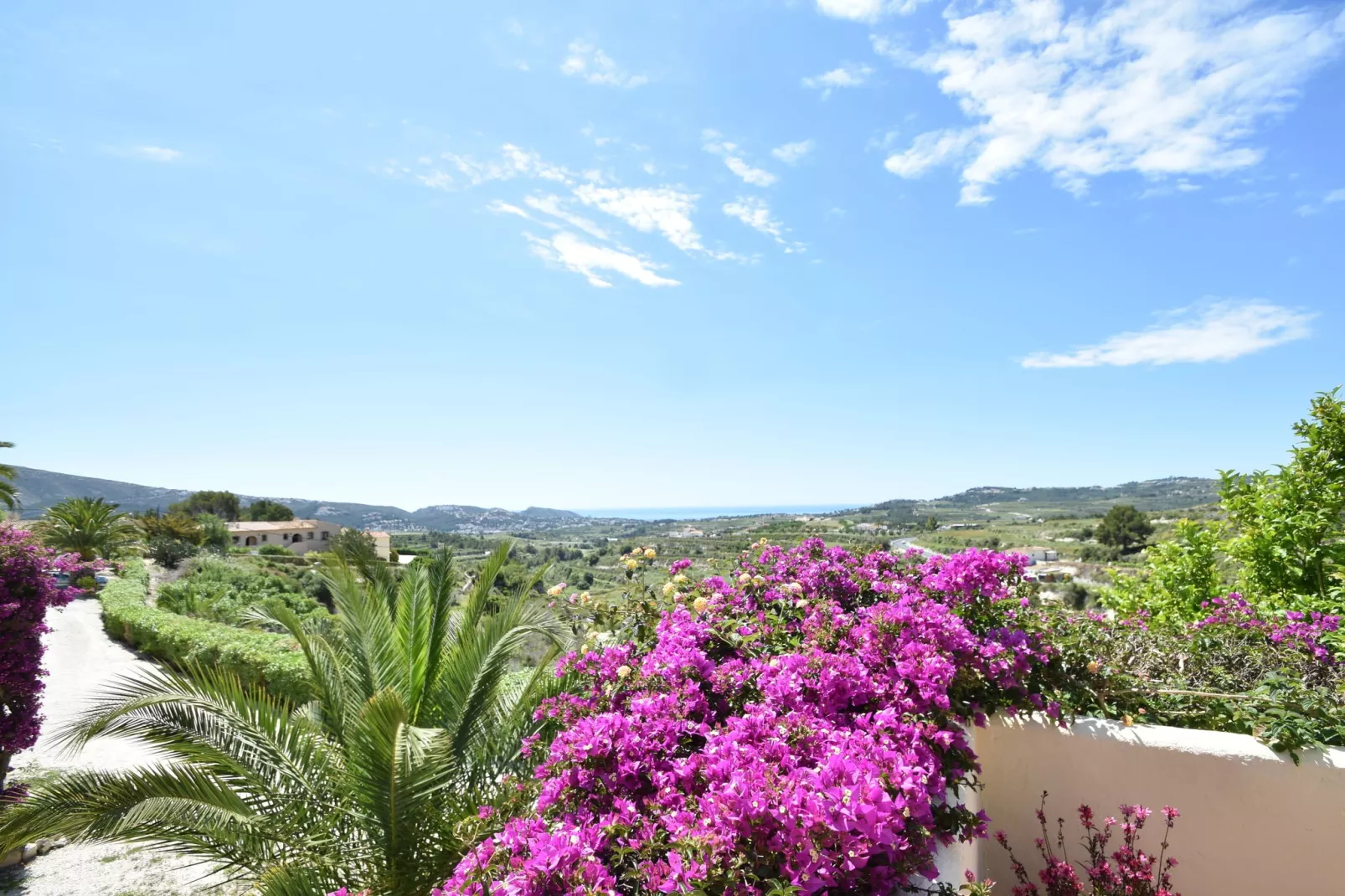 Casa Kola-View summer