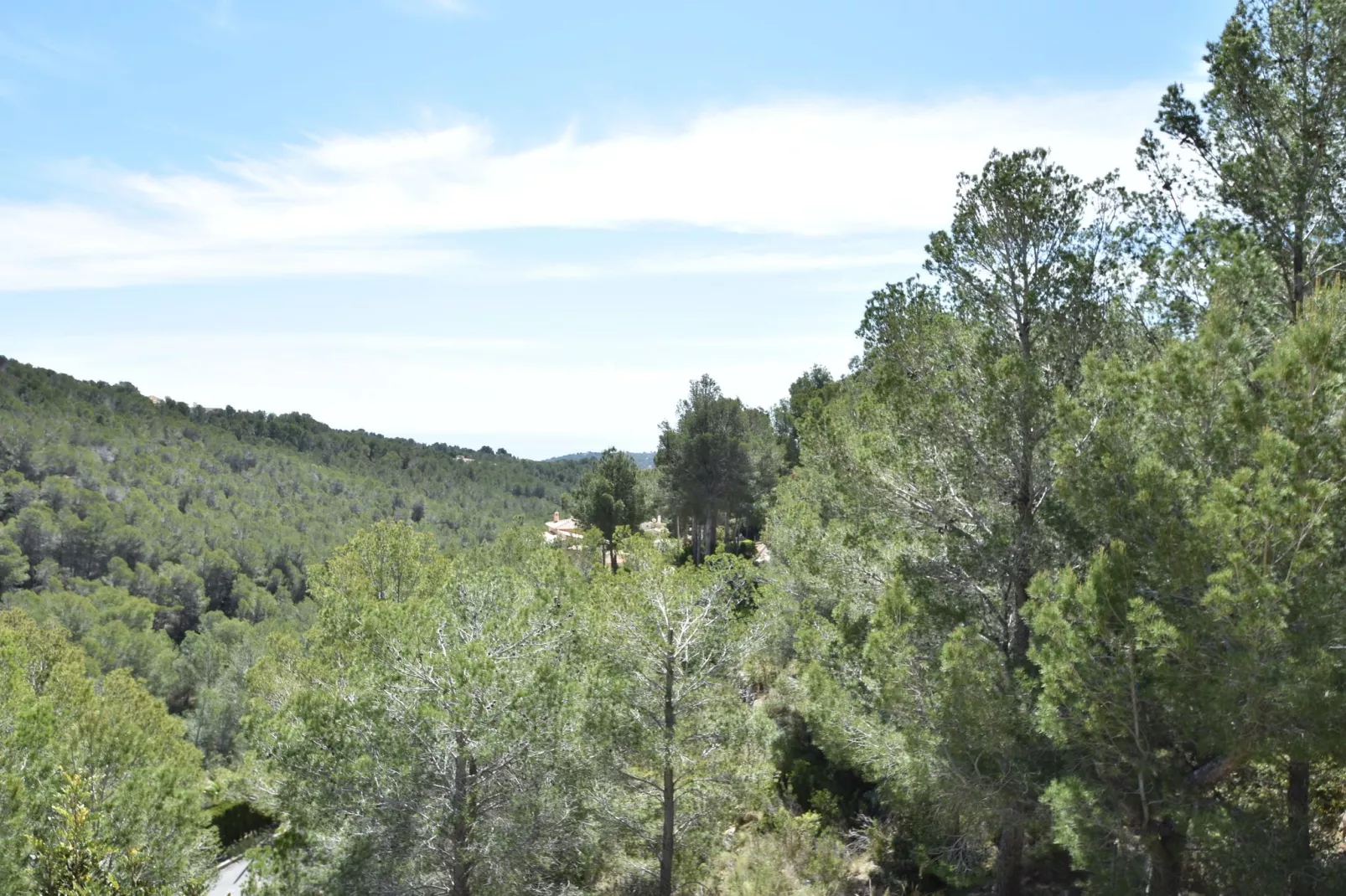 Nuestra Montana	-Vue d'été
