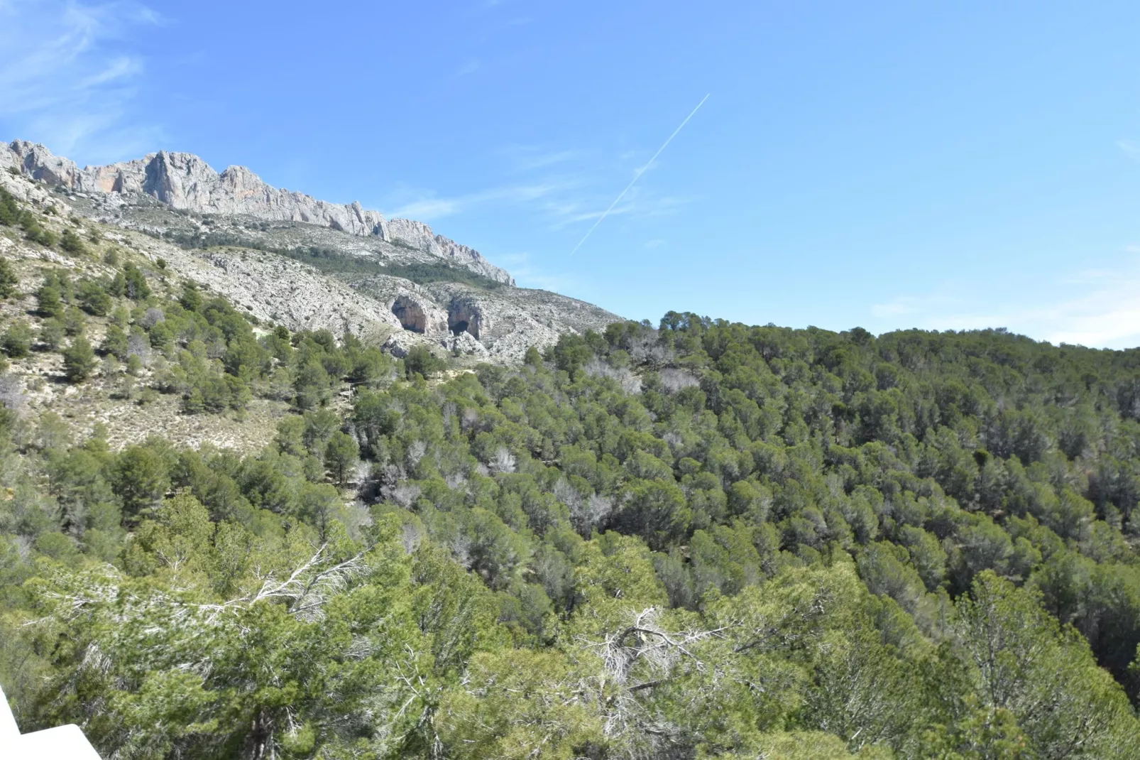 Nuestra Montana	-Vue d'été