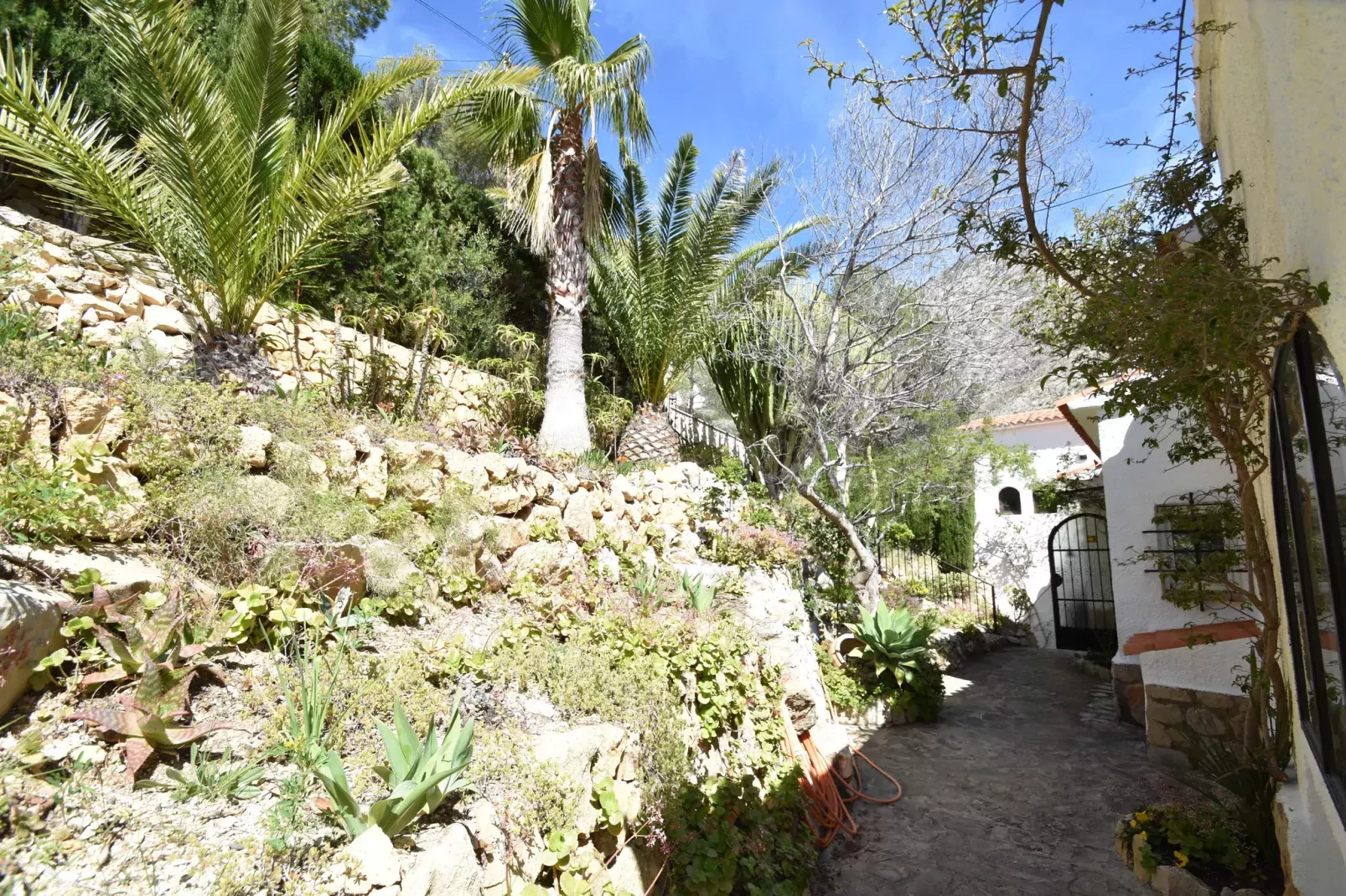 Nuestra Montana	-Jardin d'été