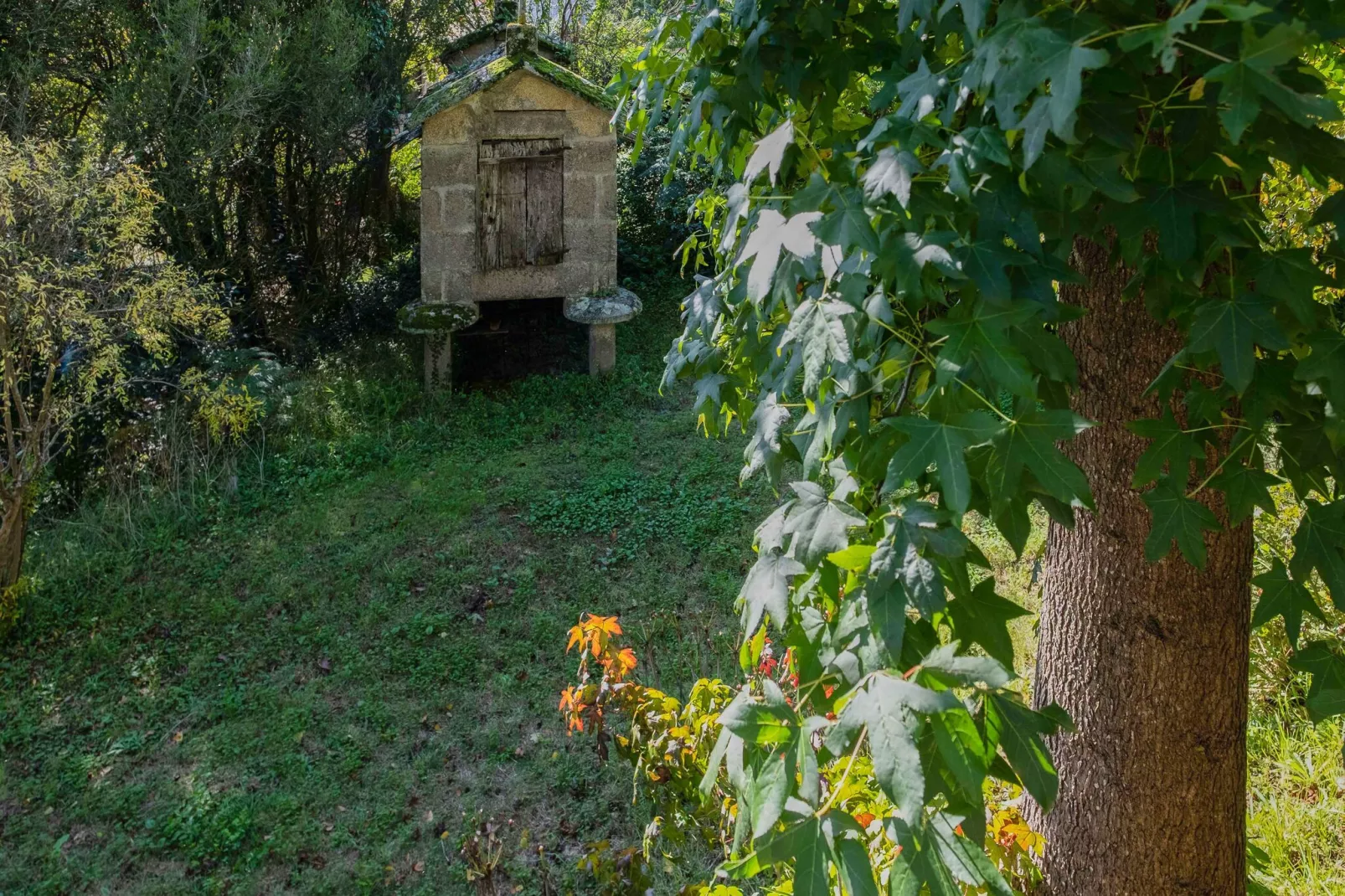 Playa Padriñán-Jardin d'été