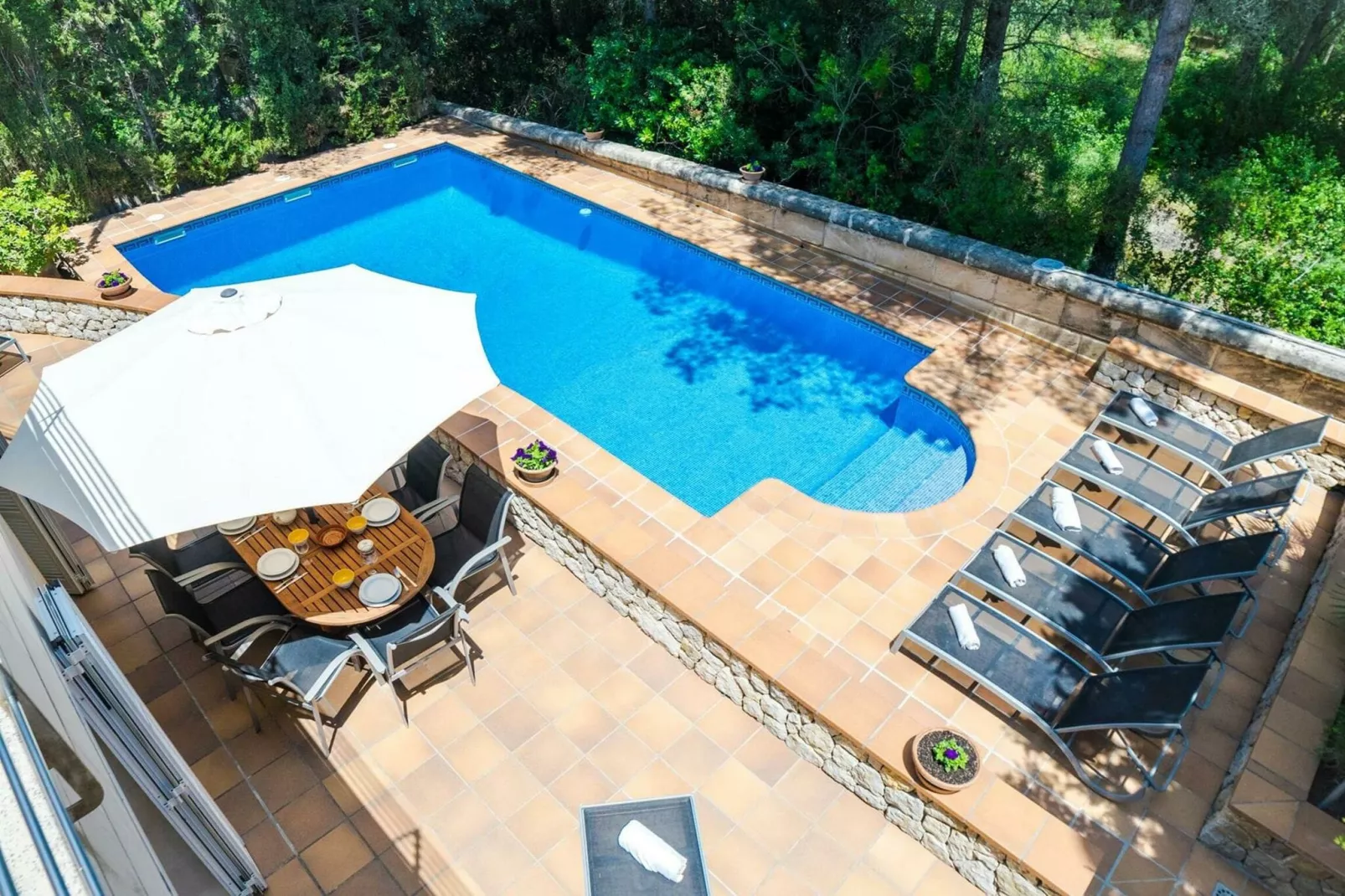 Bonaire-Pool