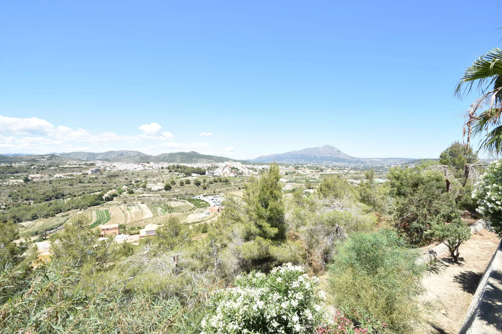 Casa Alma-View summer