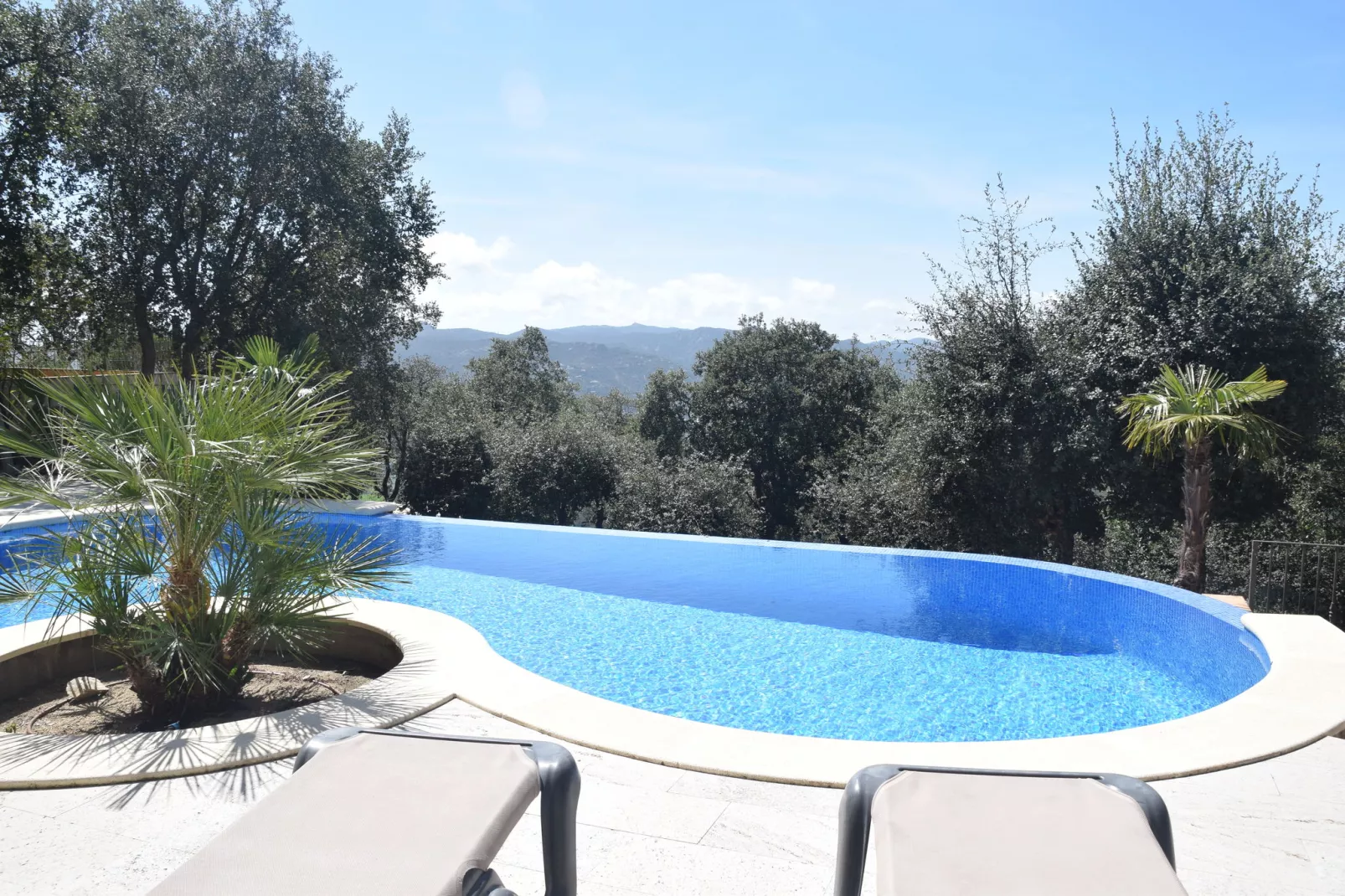 Ojo Azul-Pool