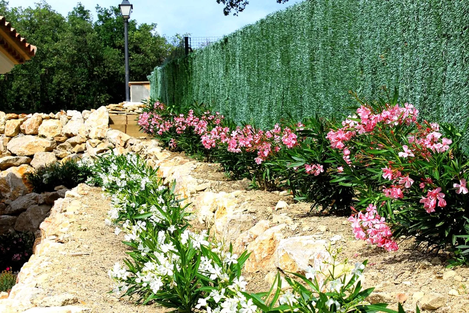 Ojo Azul-Gardens summer