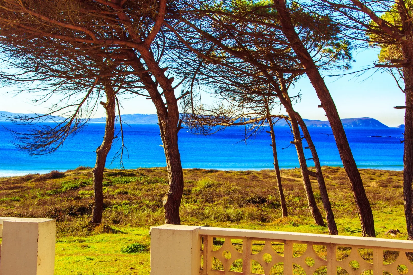 Playa Montalvo - Planta 2-Gebiete Sommer 5 km