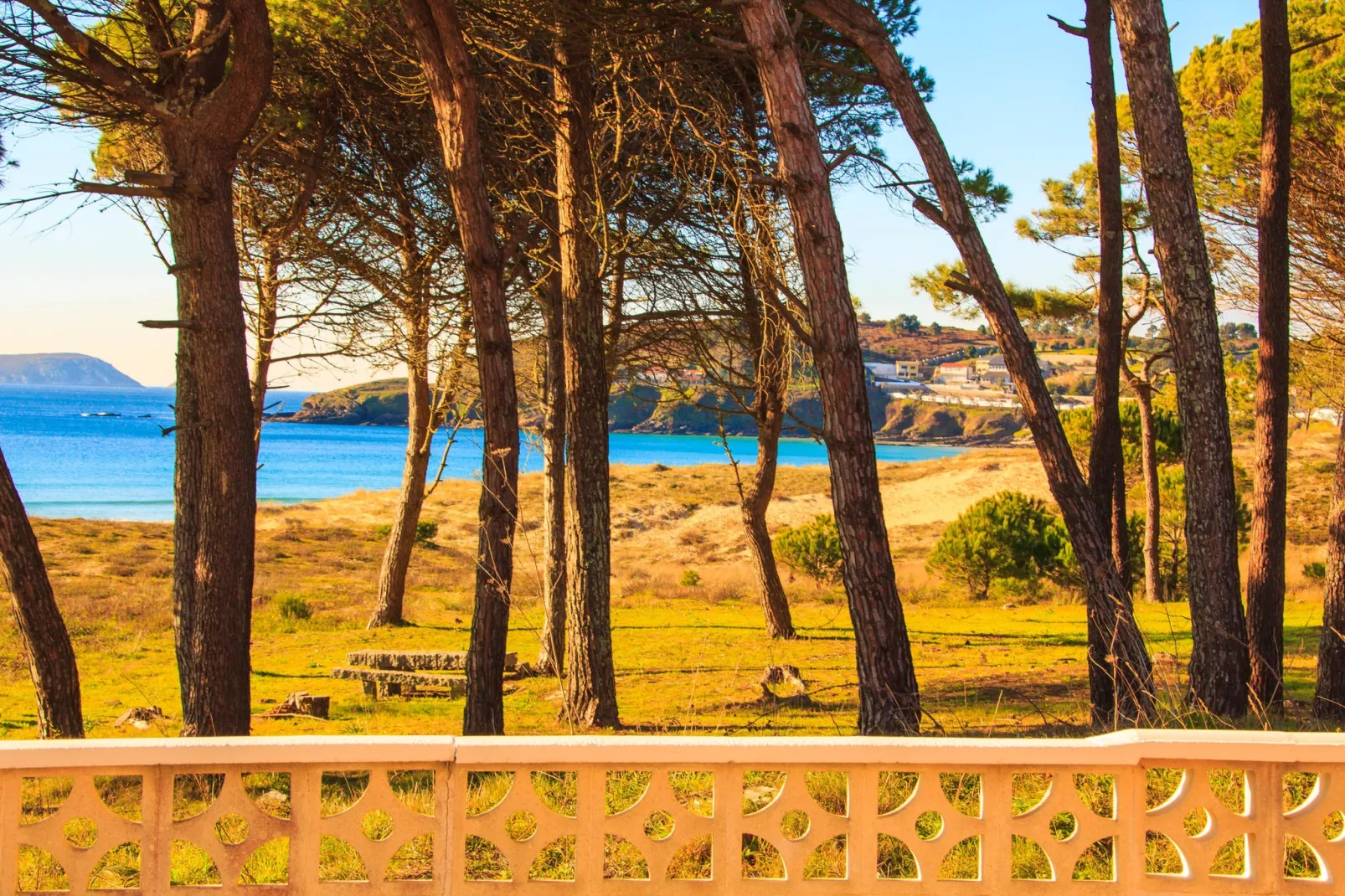 Playa Montalvo - Planta 2-Gärten Sommer