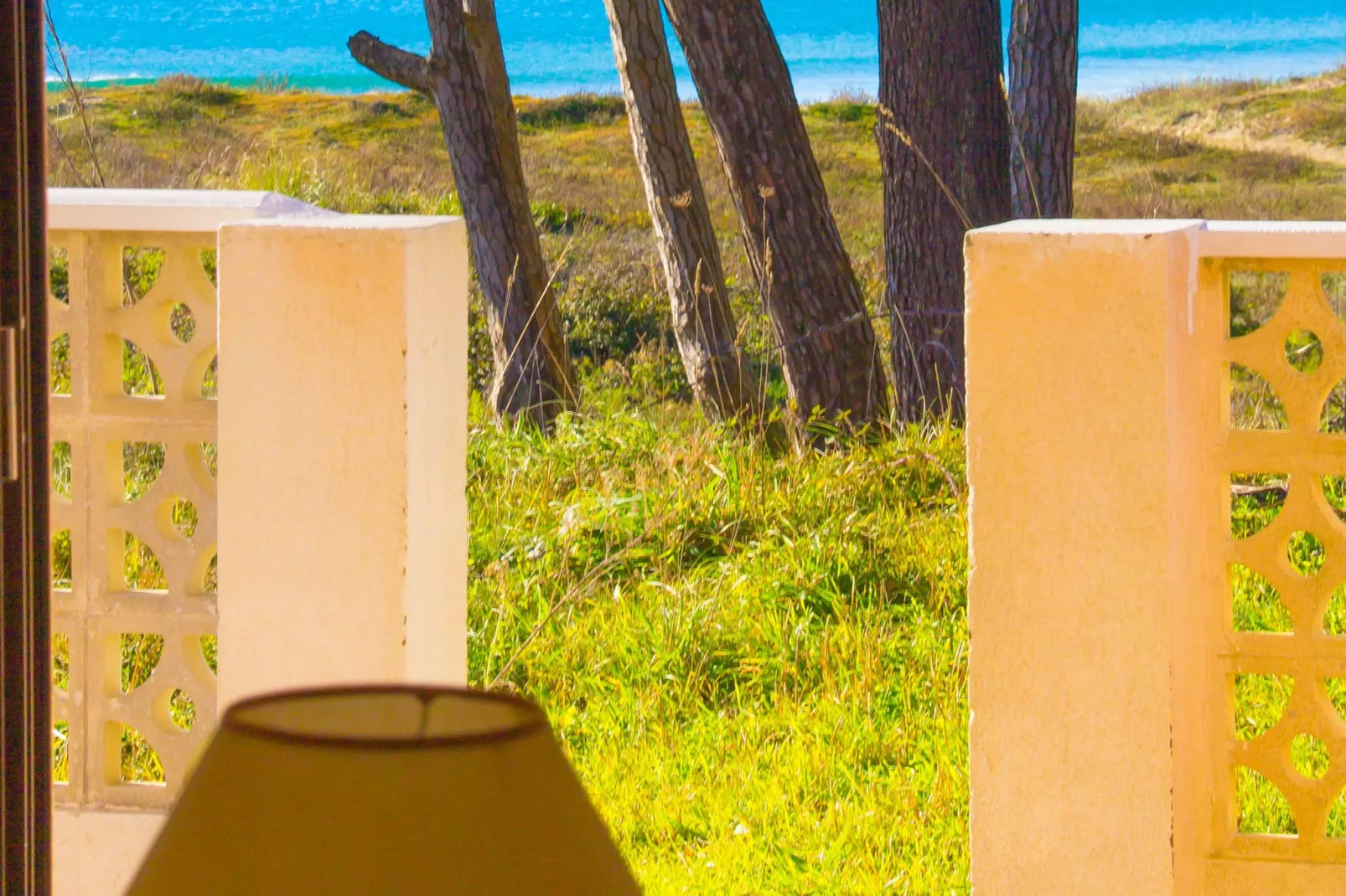 Playa Montalvo - Bajo 6-Ambiance