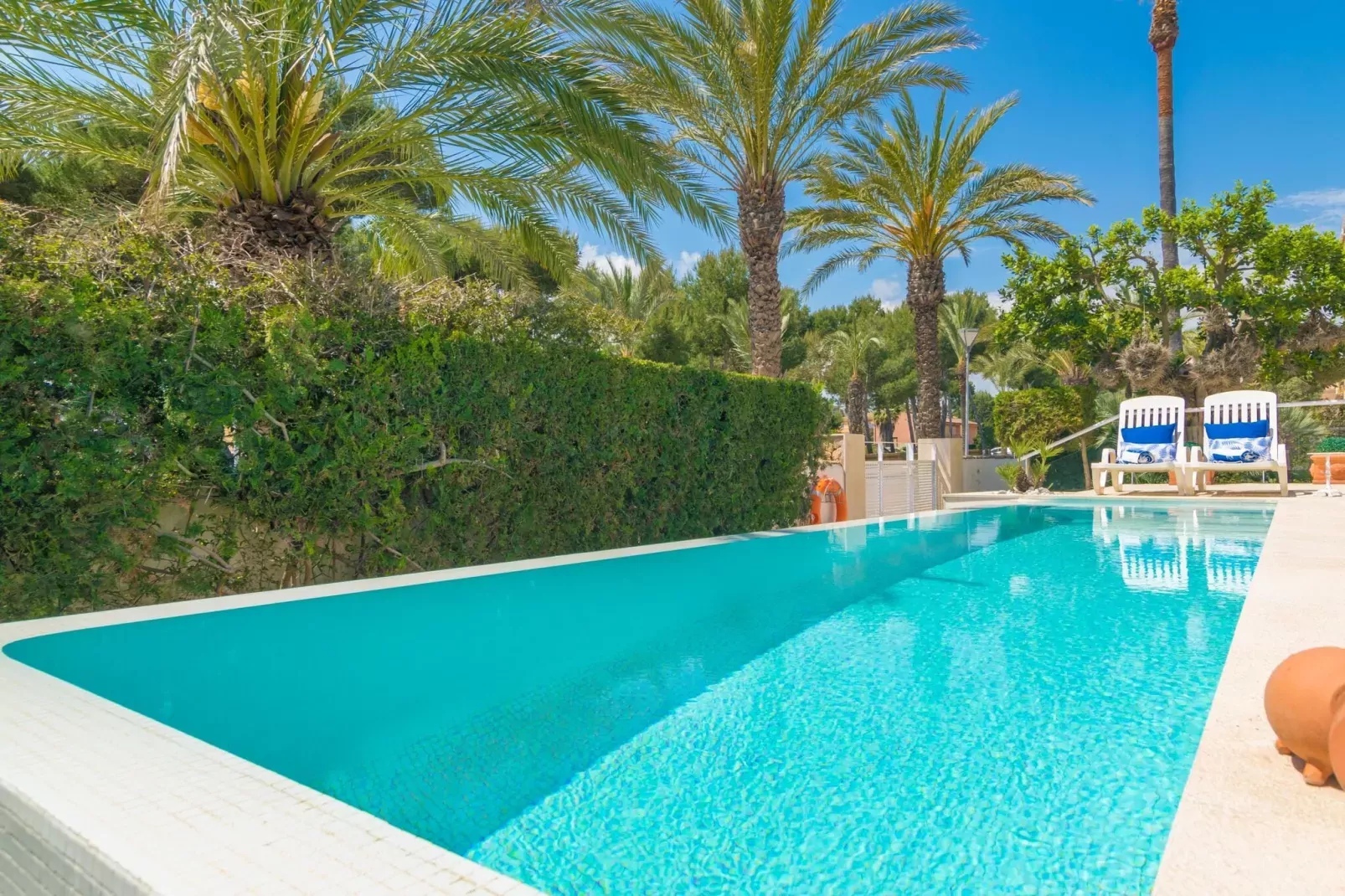 Anima-Exterior summer