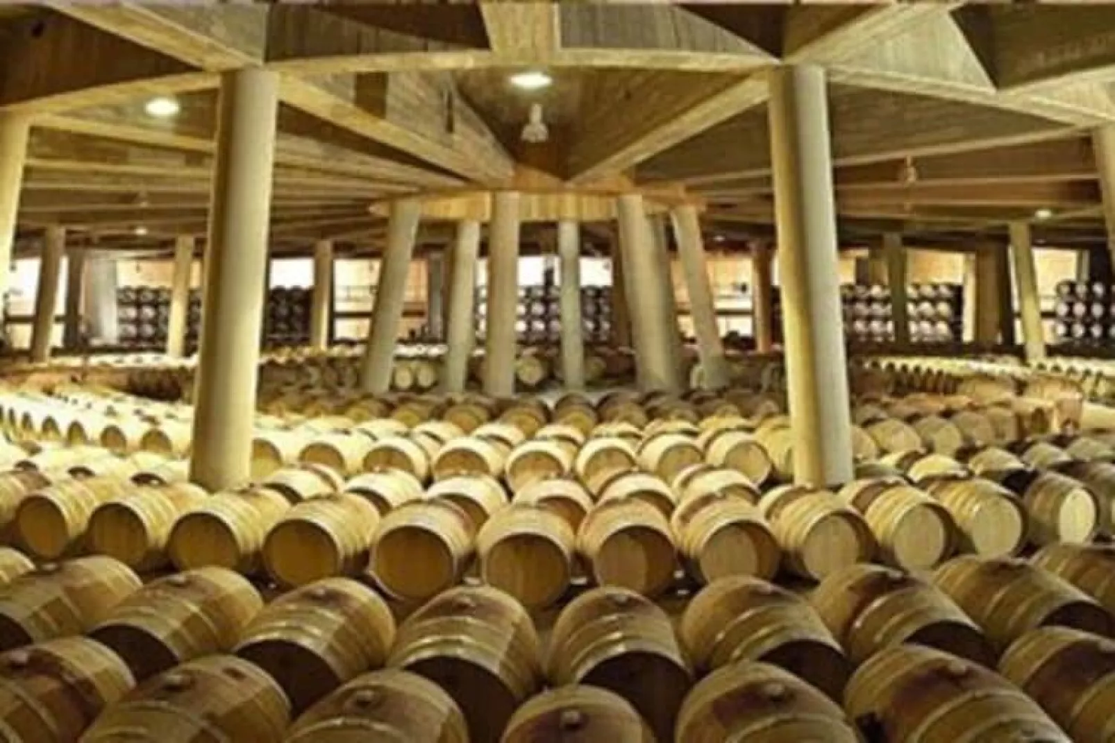 La Bodeguilla-Areas summer 20km