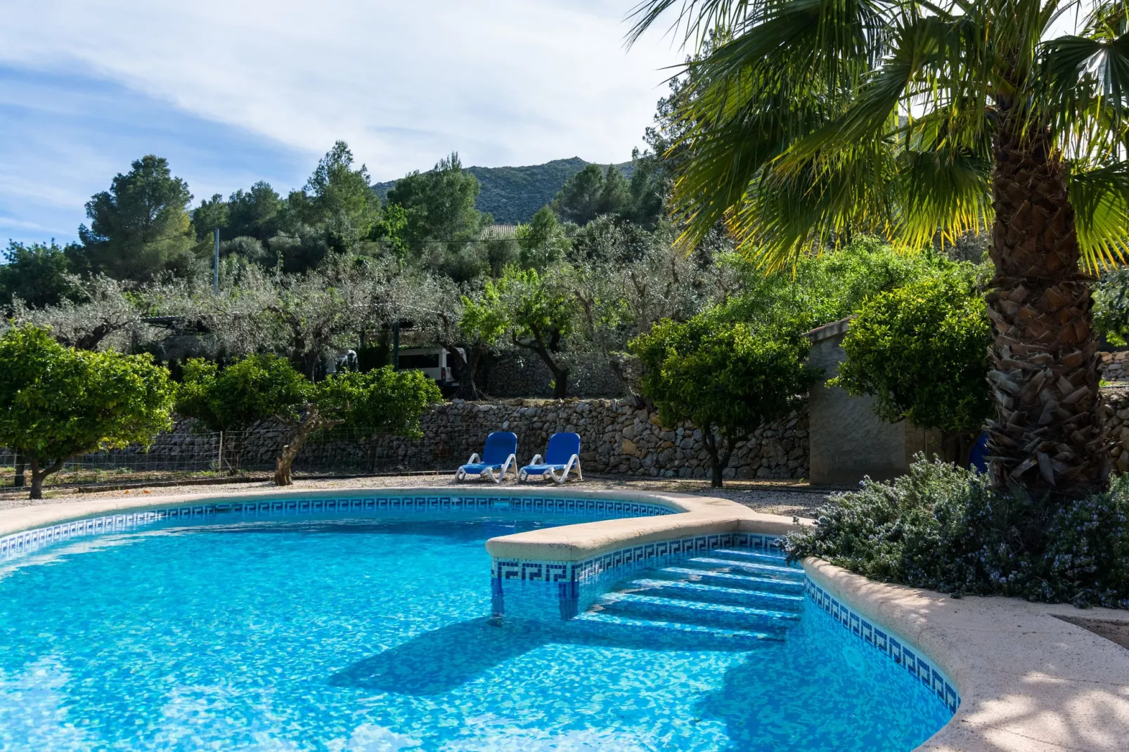 Finca Caballo Verde-Pool