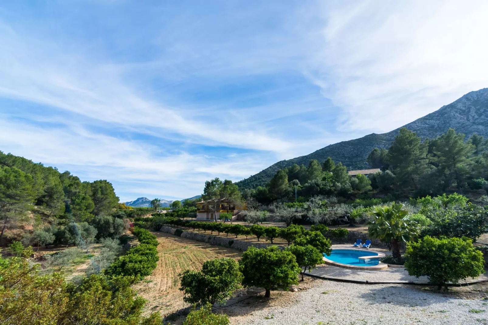 Finca Caballo Verde-View summer