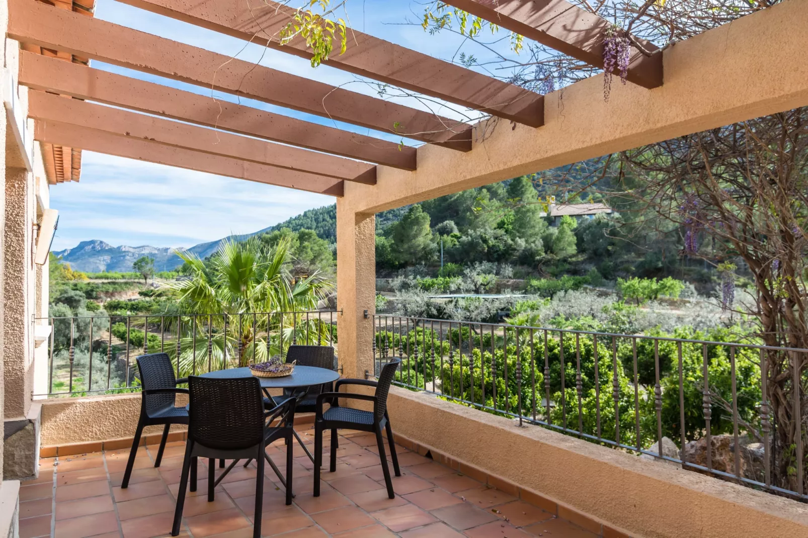 Finca Caballo Verde-Terrace balcony