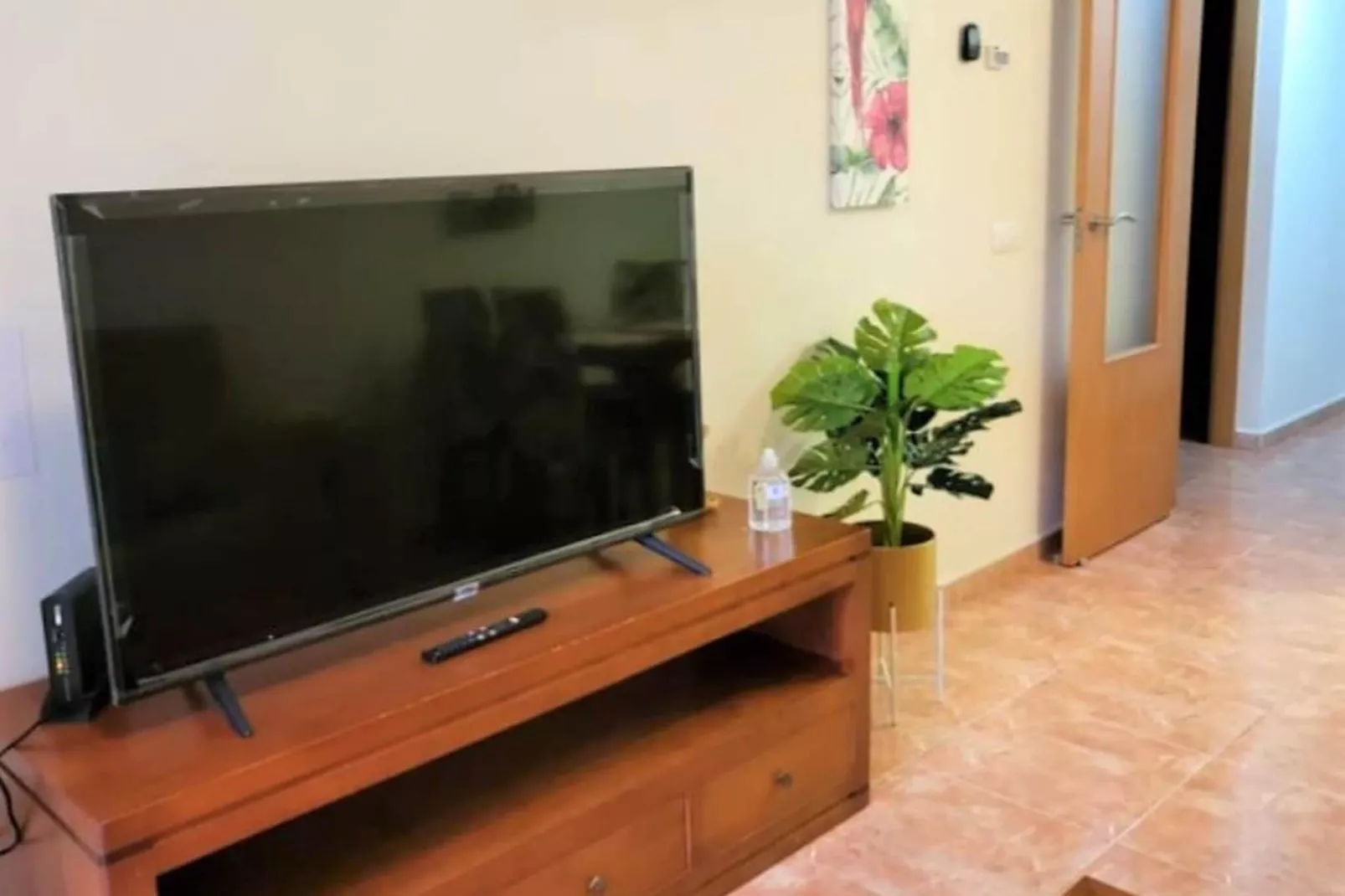 Apartamento 1º con terraza-Living room