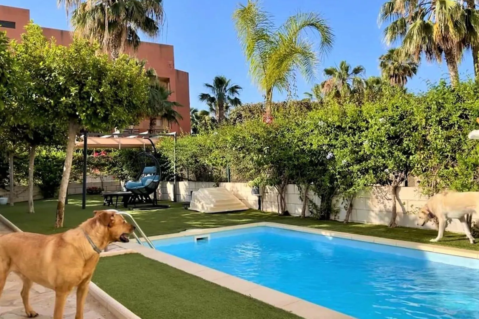Bajo con terraza jardín y piscina privada-Pool