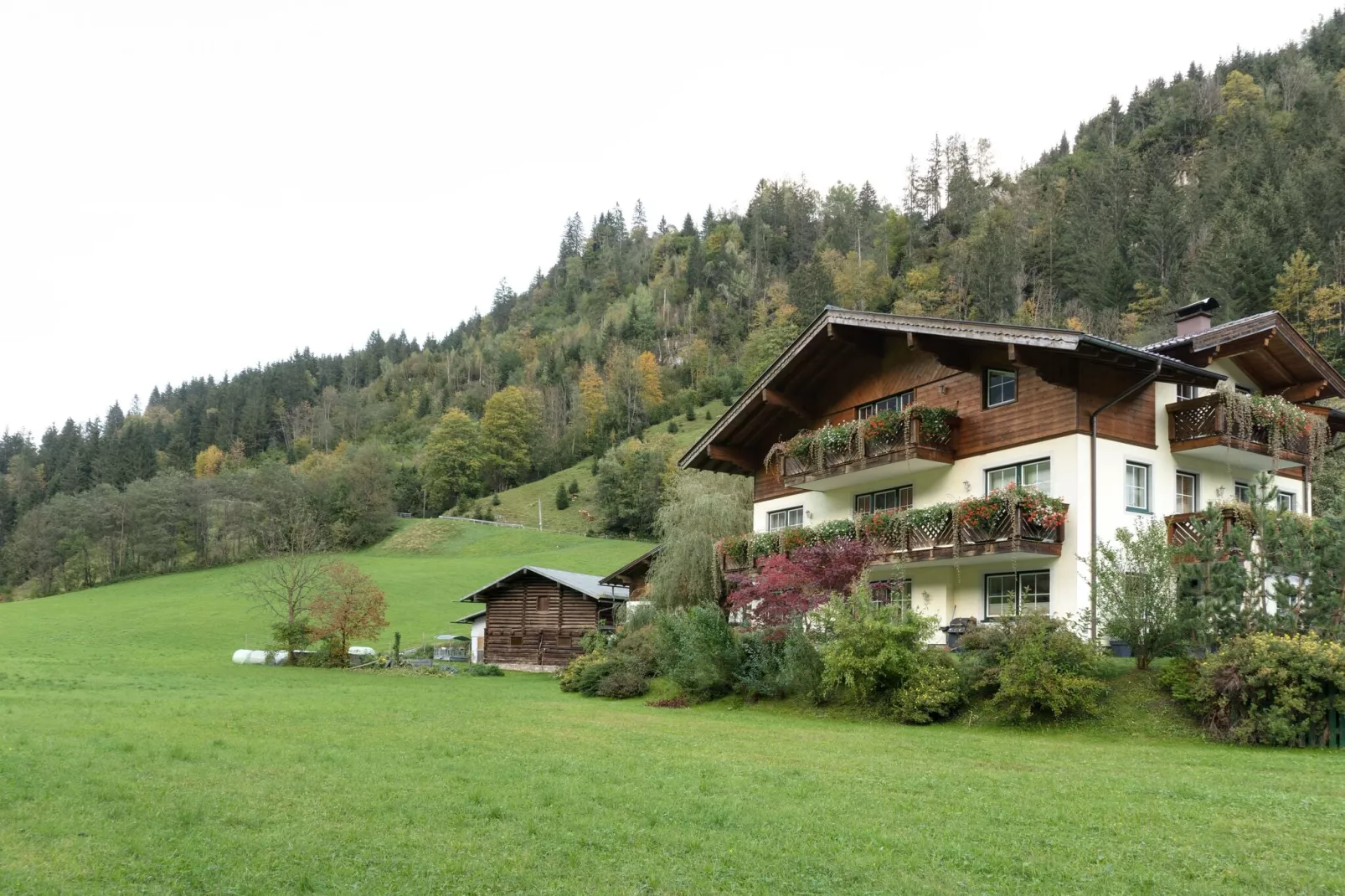 Grossarl Maria-Außenbereich Sommer