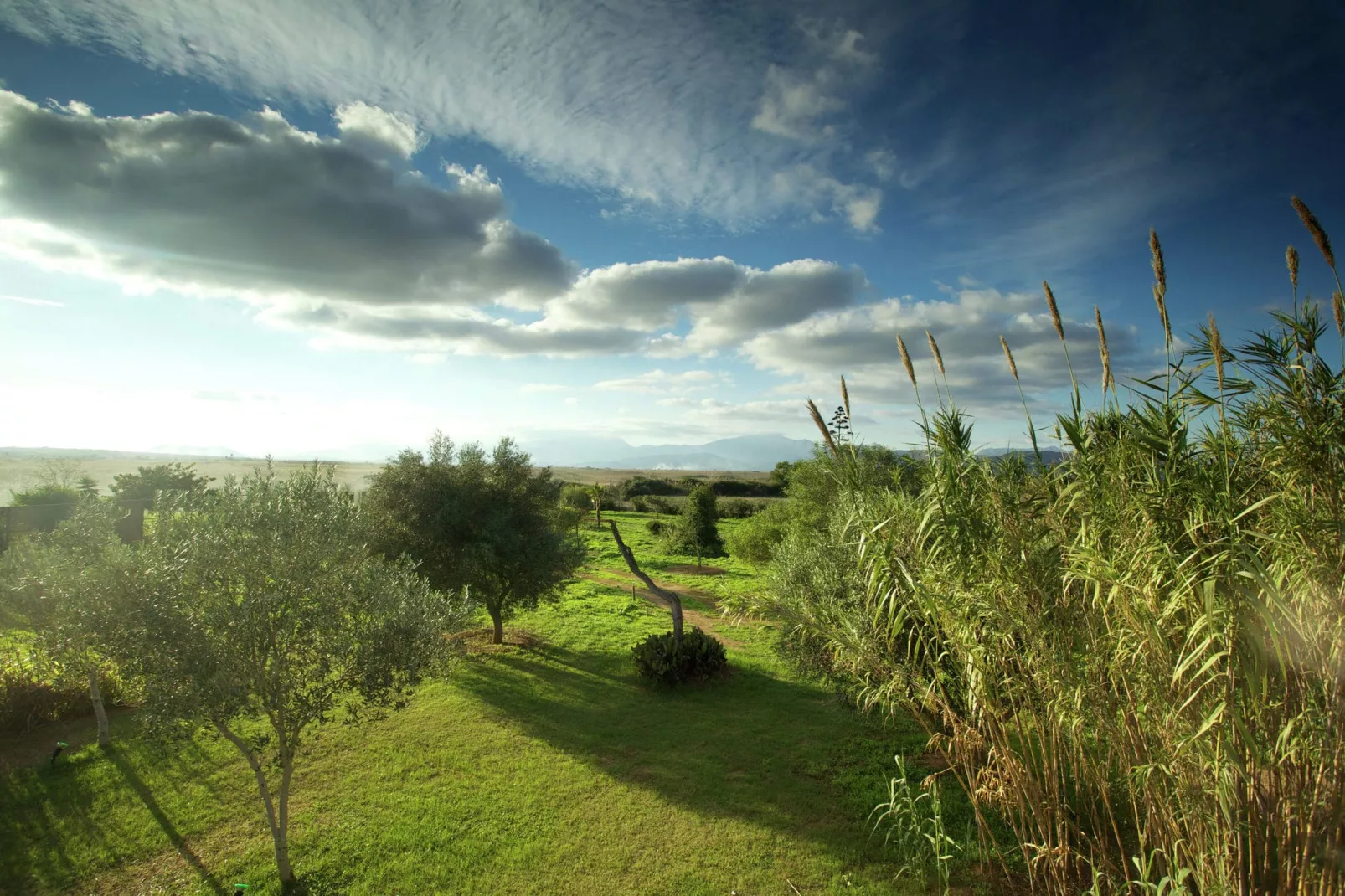 Gamundi-View summer
