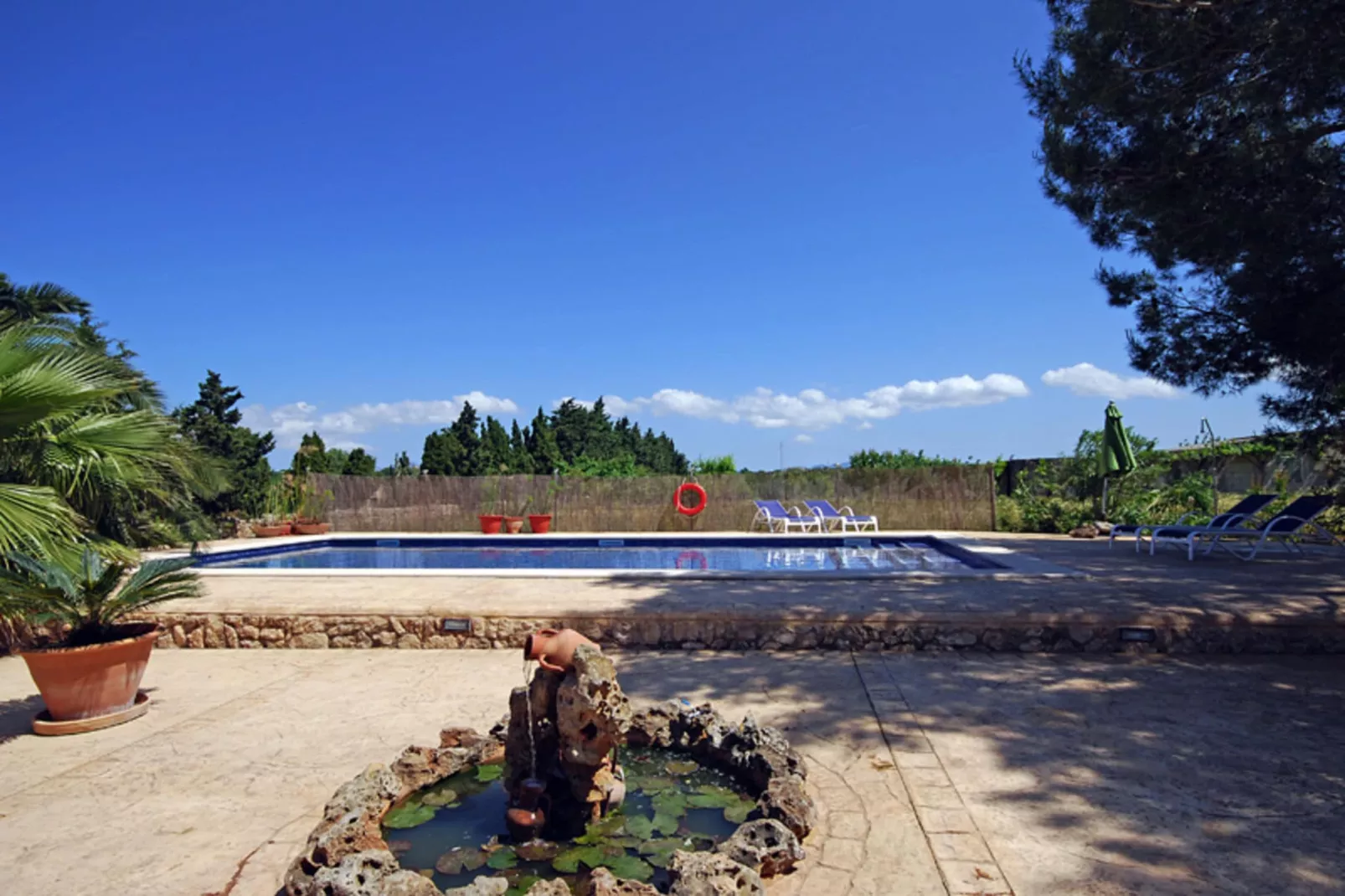 Ribes-Pool