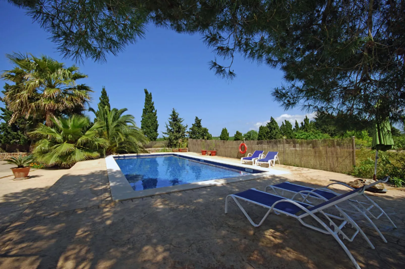 Ribes-Pool