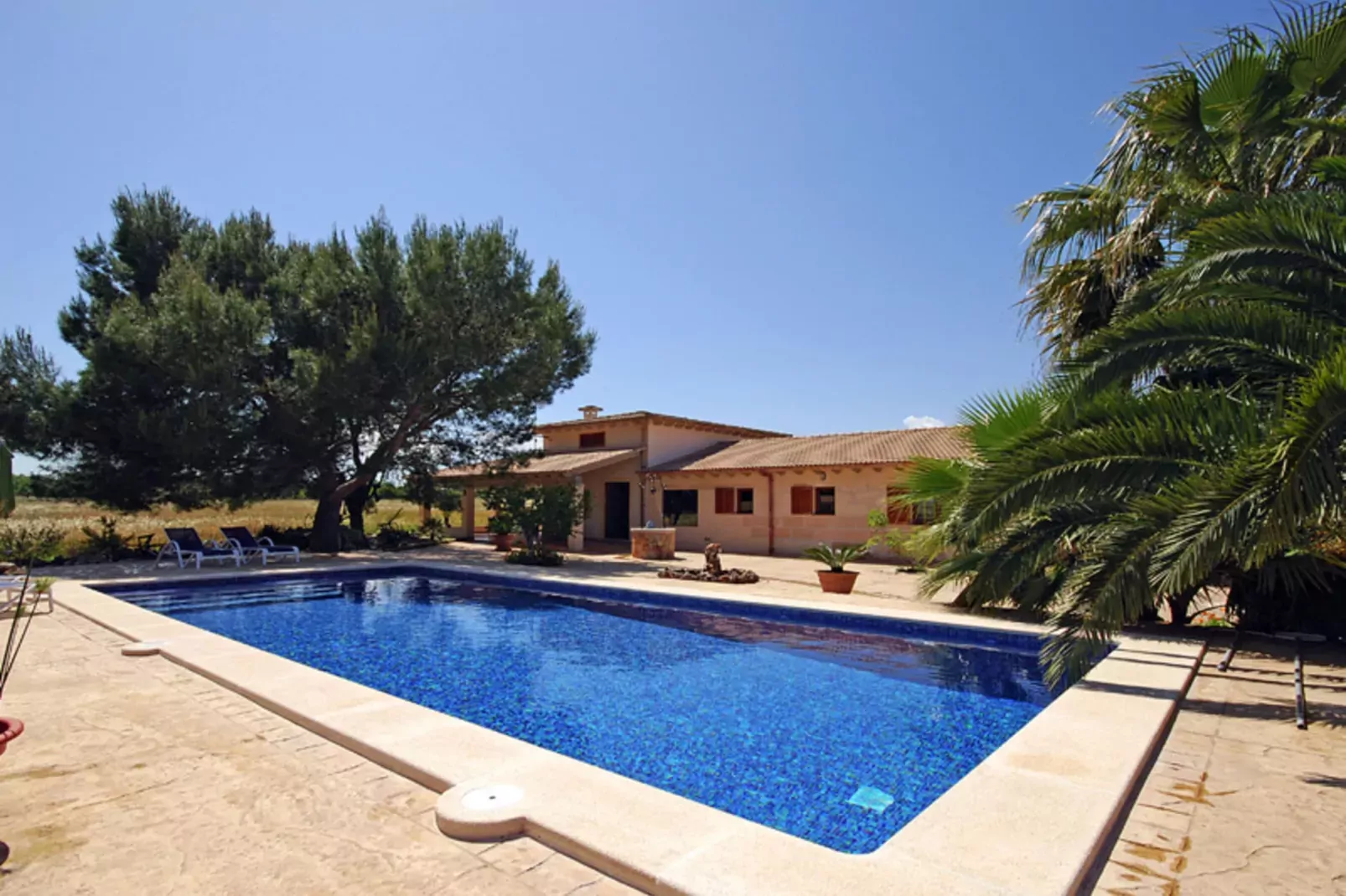 Ribes-Pool