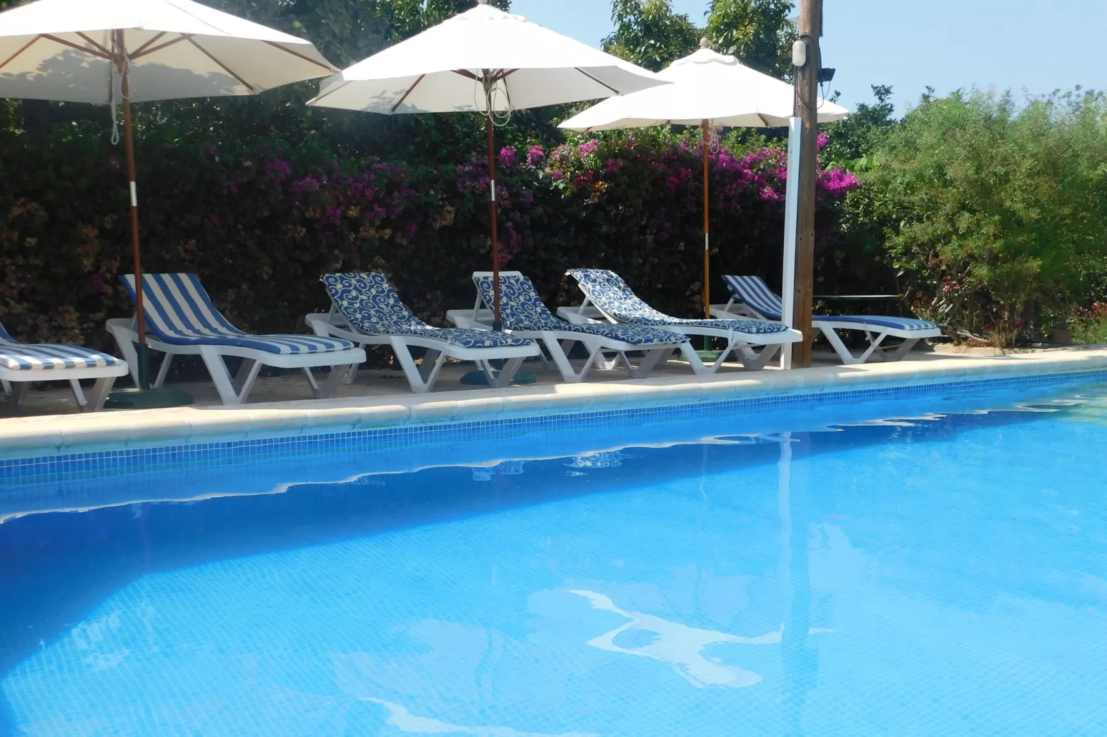 Aubergine-Pool