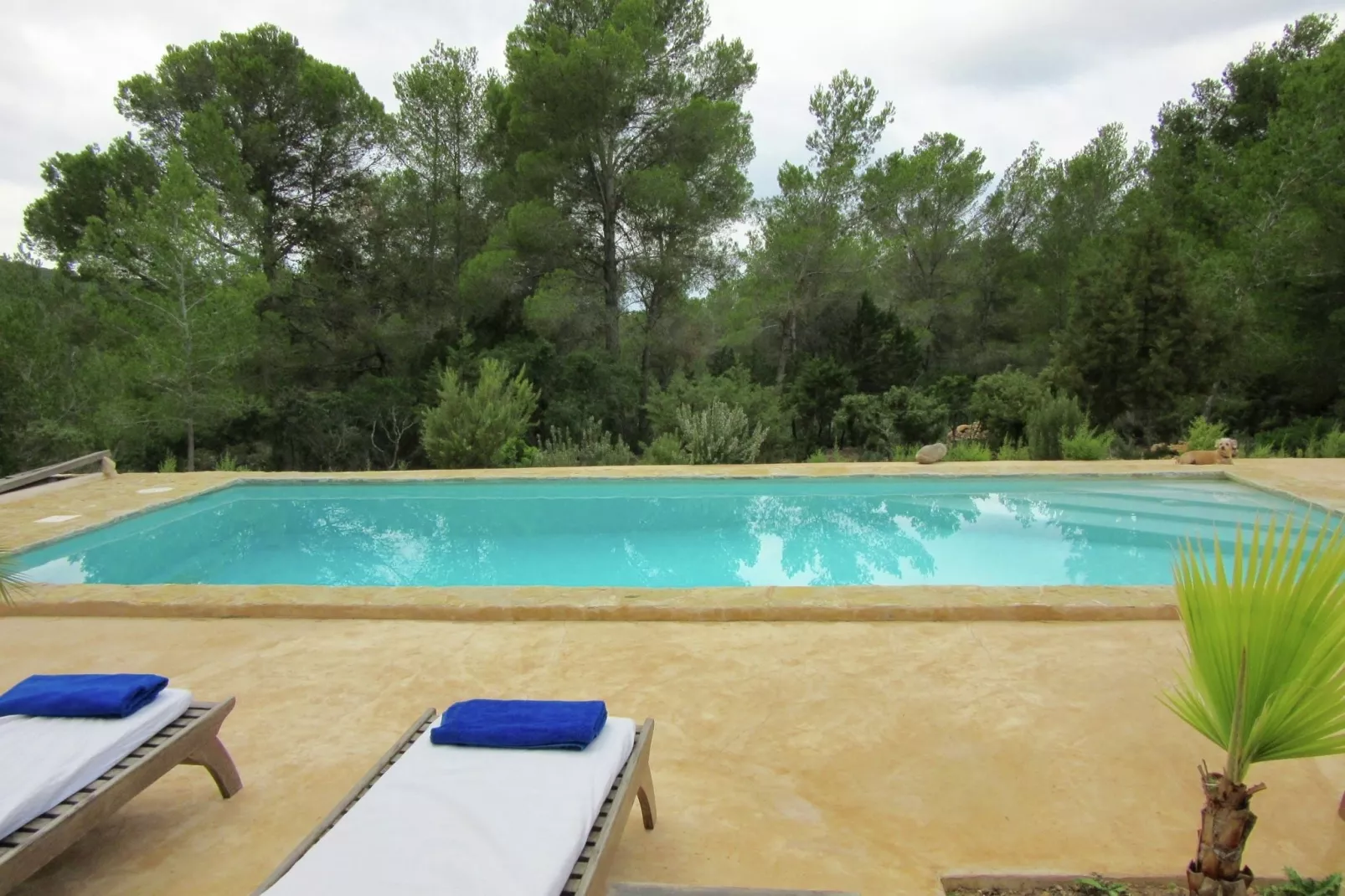 Saljub-Pool