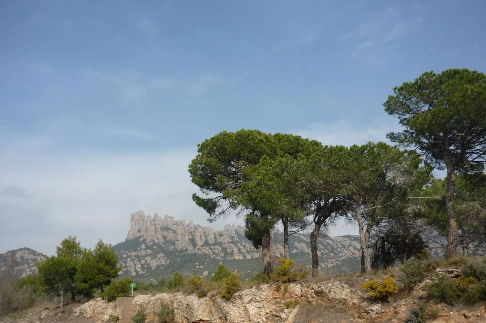 Cal Sant Miquel-View summer