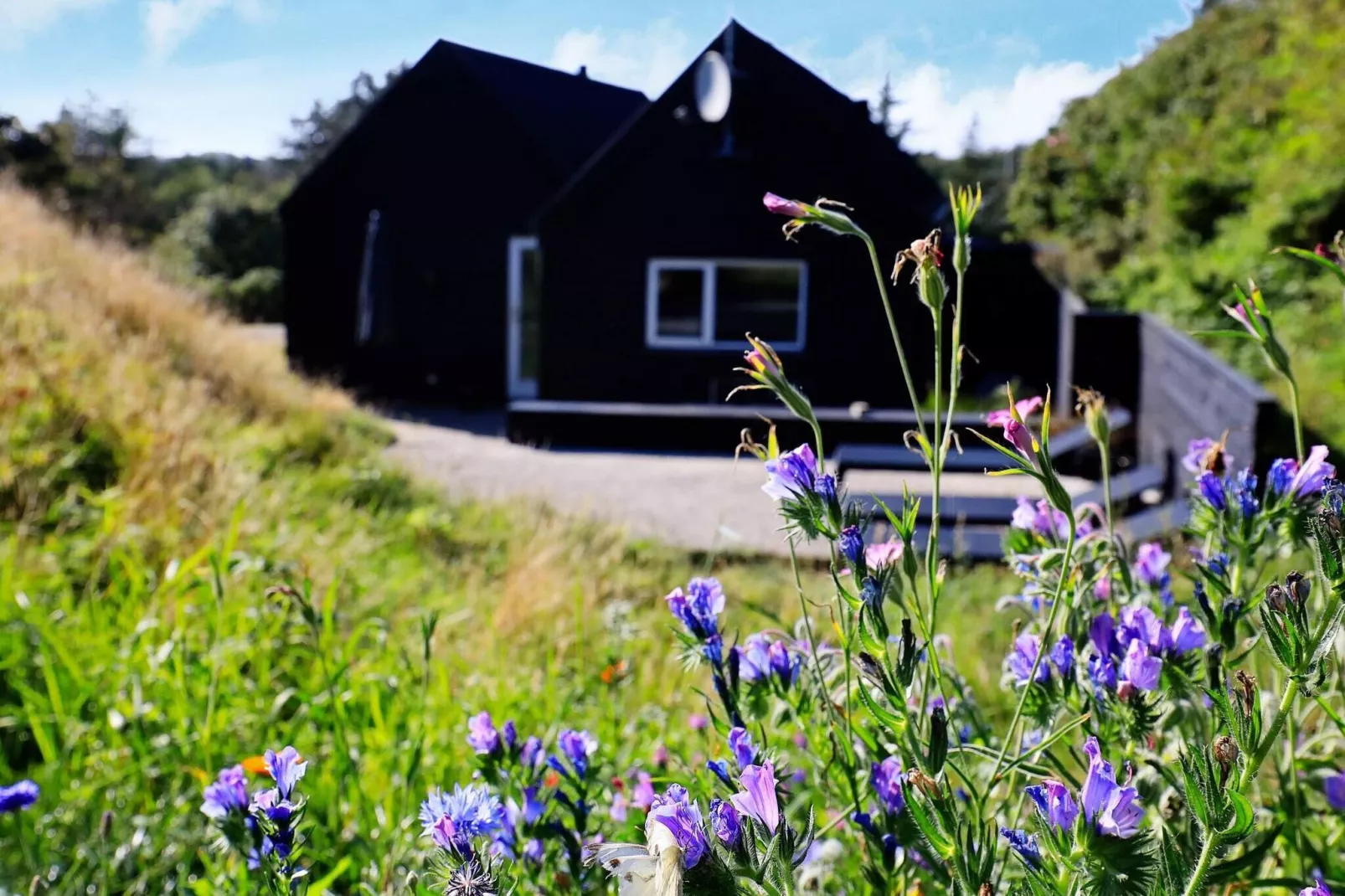 6 person holiday home in Blokhus