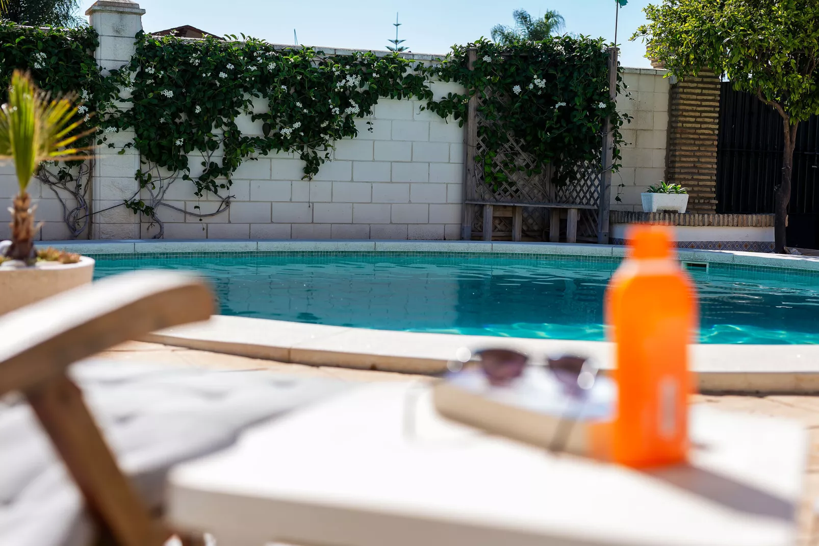 Villa Madre del Agua-Ambiance