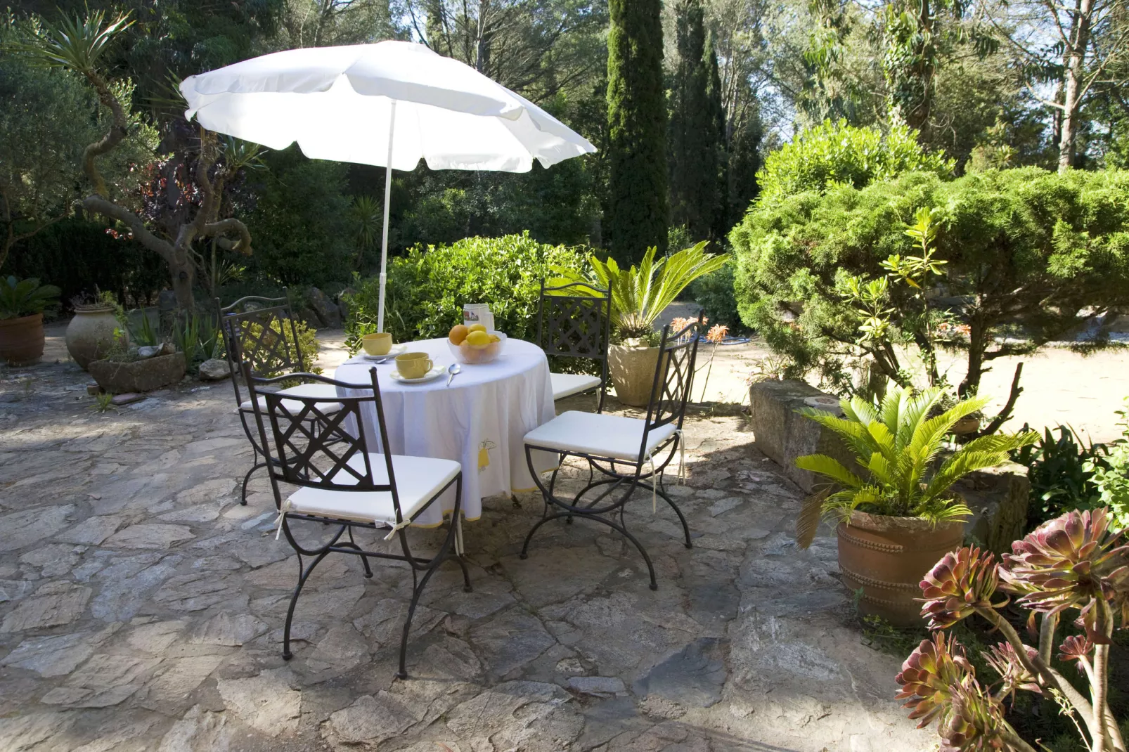 Can Vives-Gardens summer