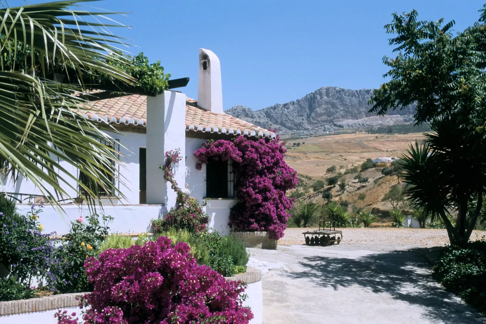 Finca Lomas de Tienda-Exterior summer