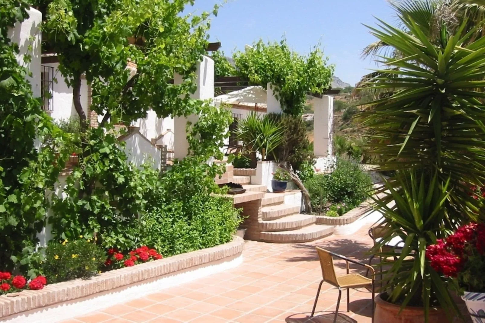 Finca Lomas de Tienda-Gardens summer