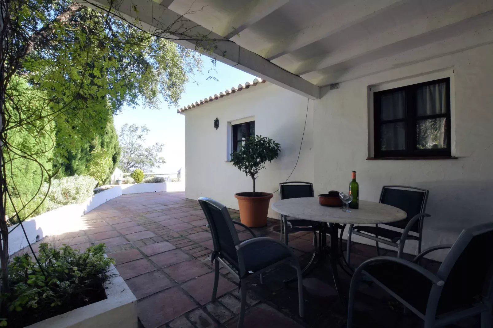 Las Cerezas-Gardens summer