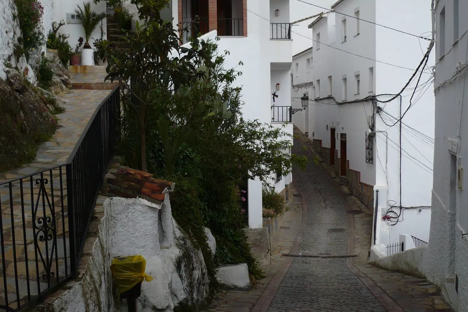 Las Cerezas-Areas summer 5km