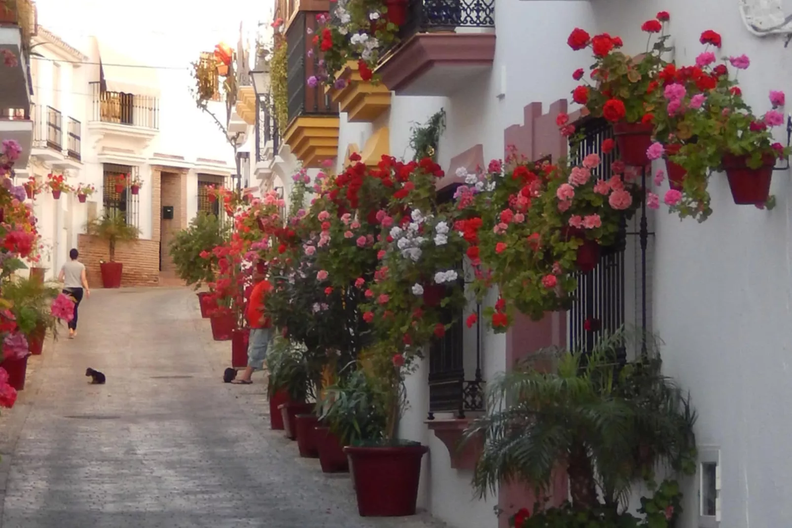 Las Cerezas-Areas summer 20km