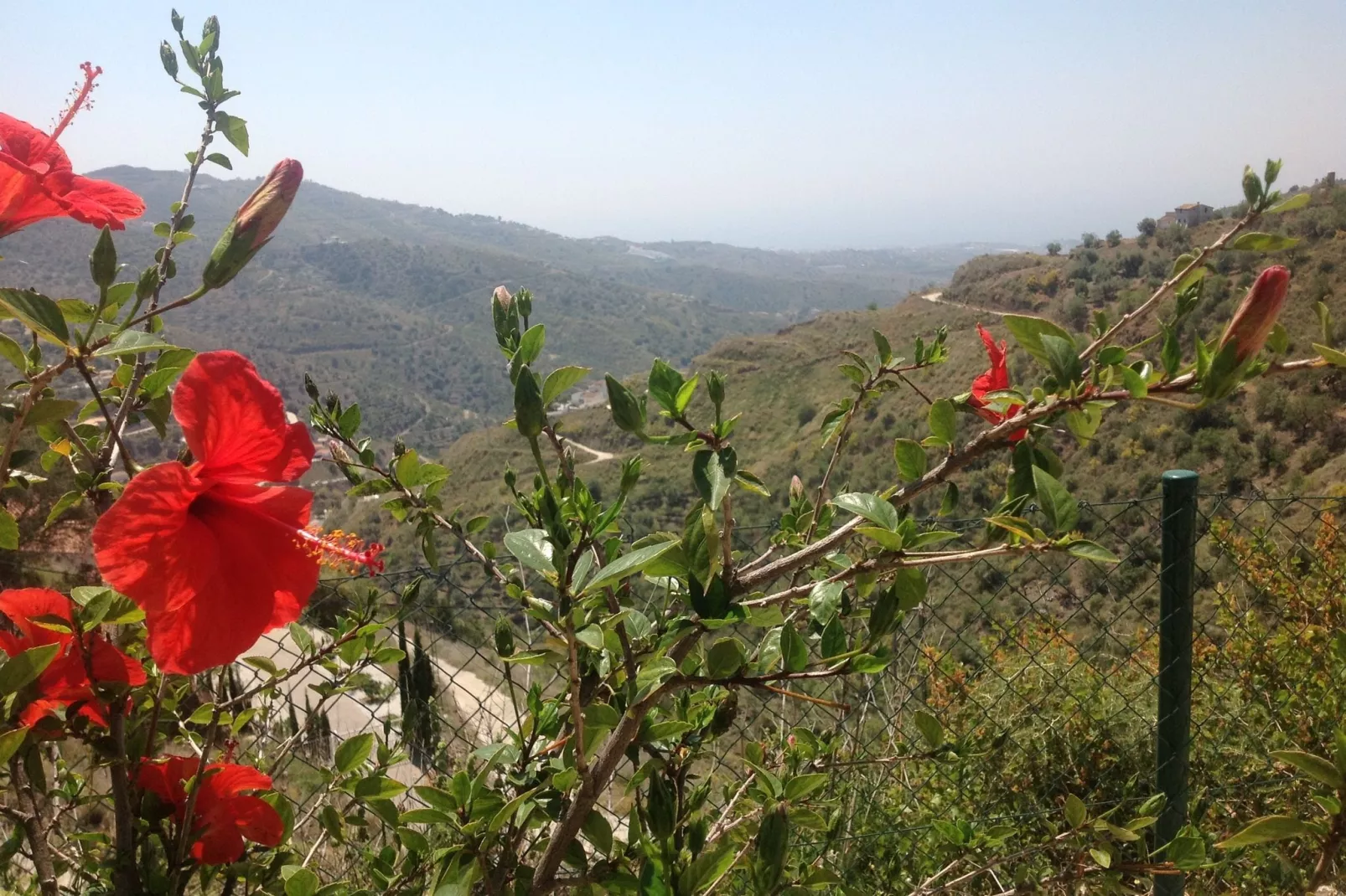 Casa Martijo-View summer