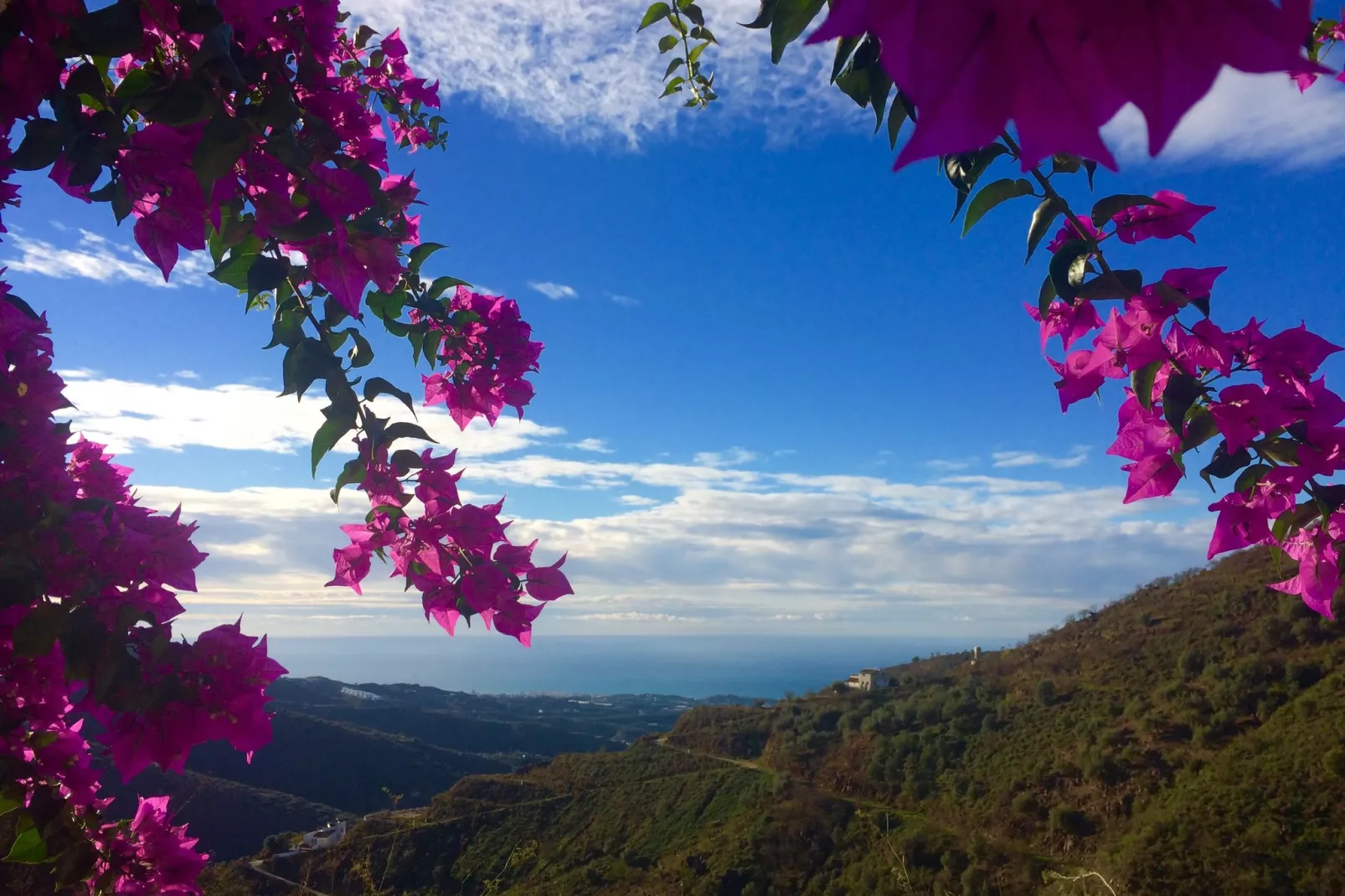 Casa Martijo-View summer