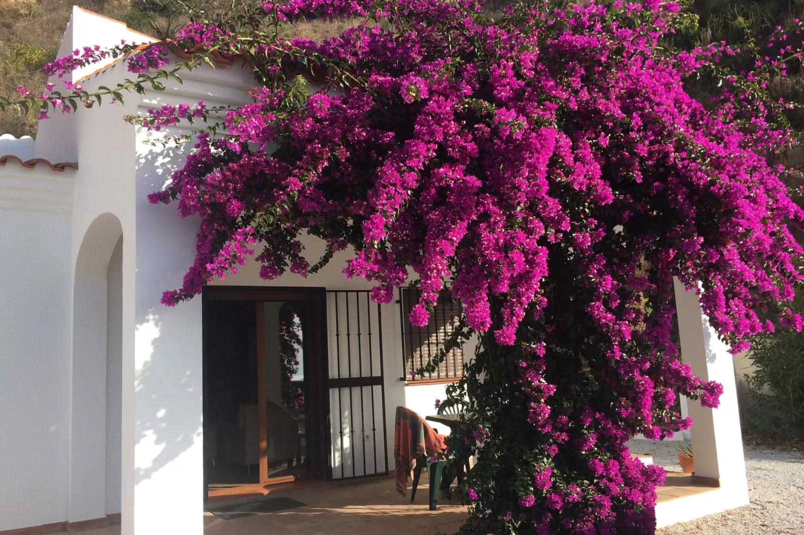 Casa Martijo-Gardens summer