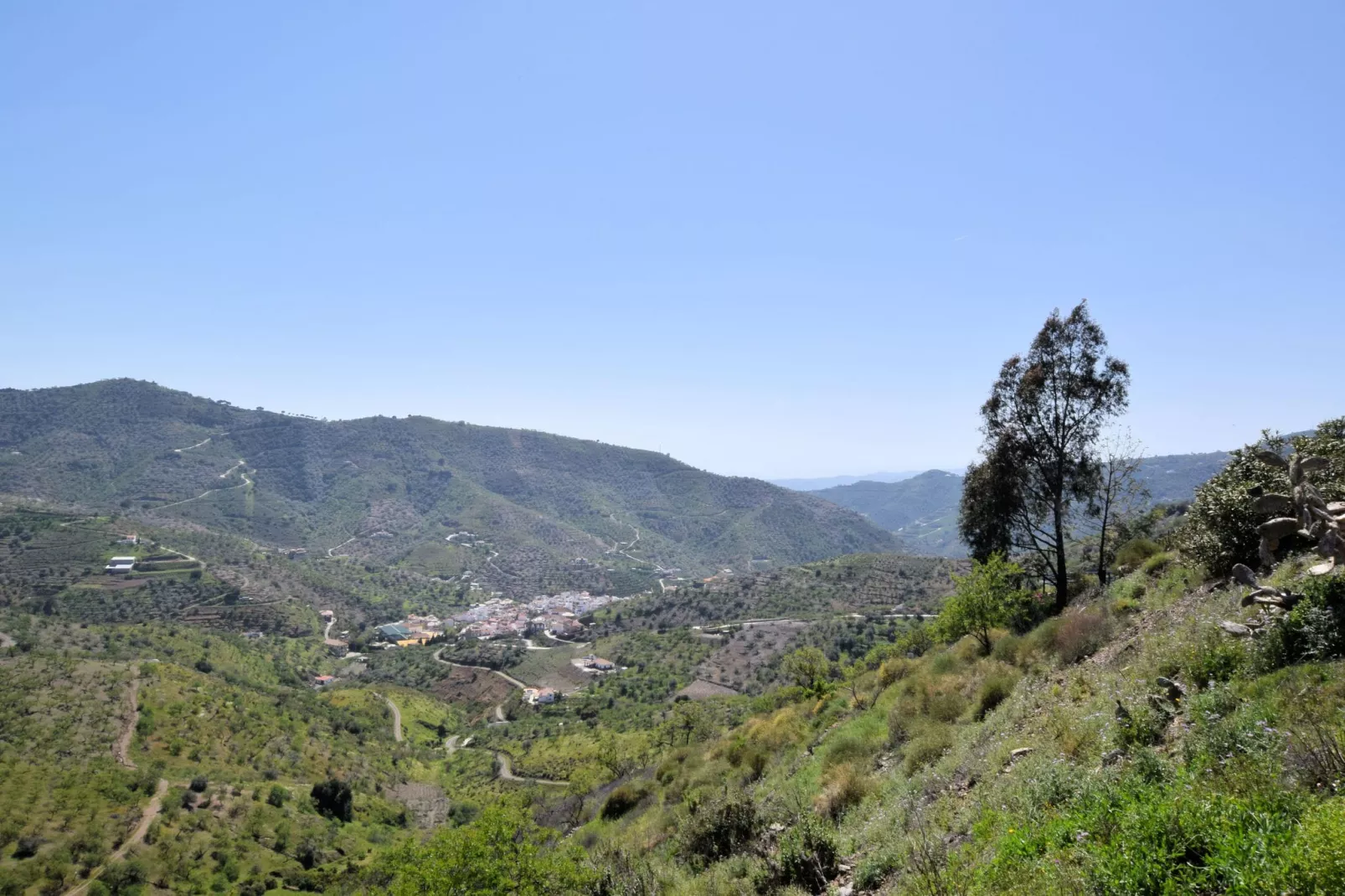 Villa Las Reinas-View summer