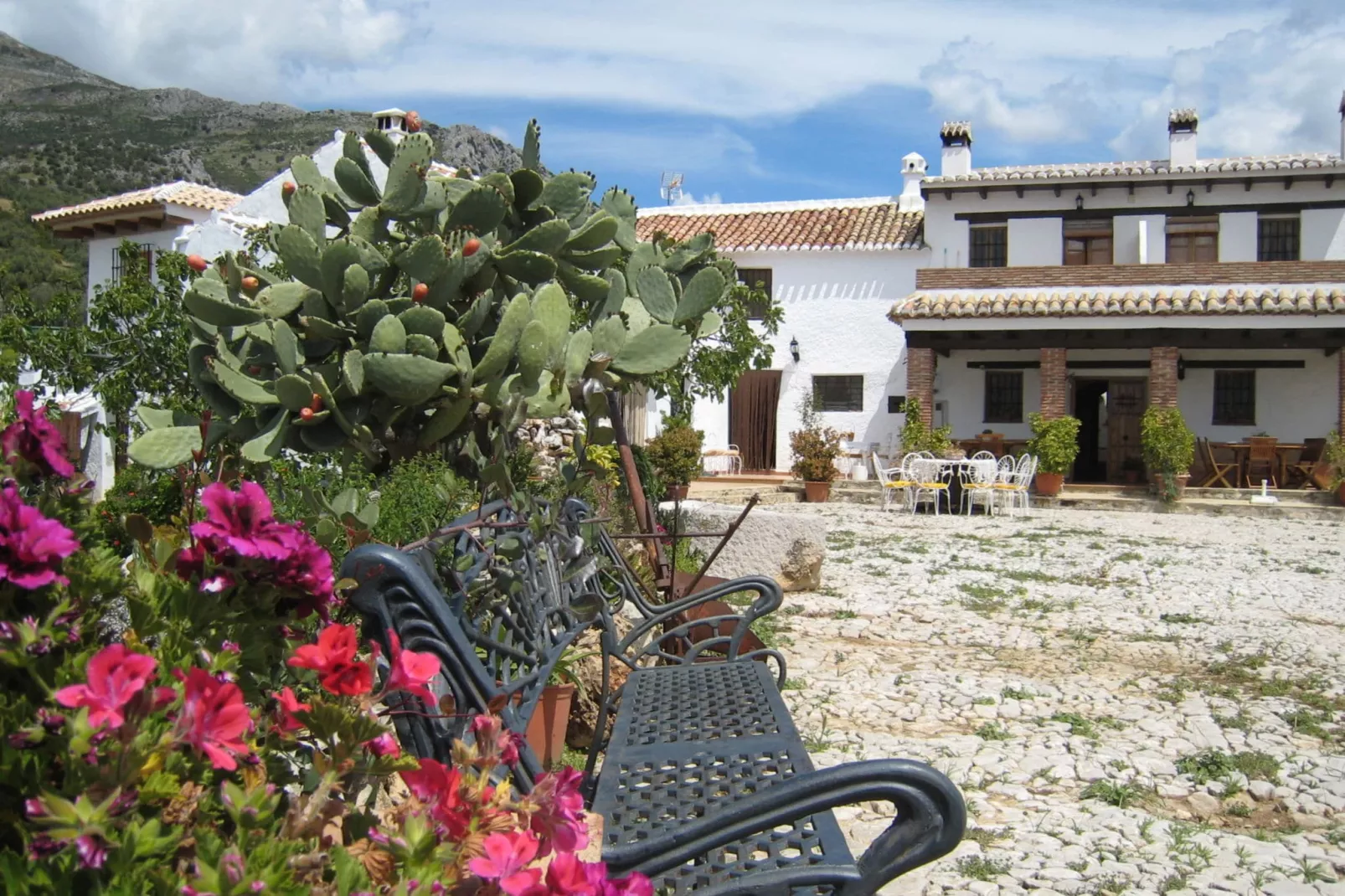 Cortijo las Monjas-Exterior summer