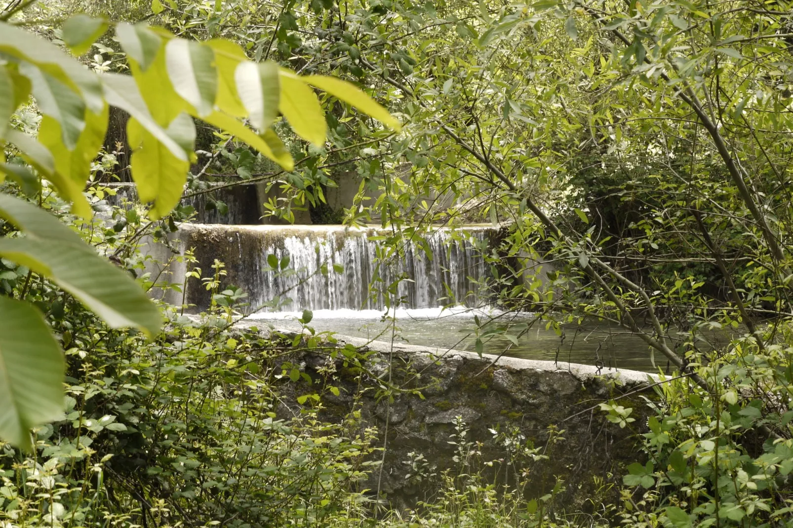 La Zamarra-Areas summer 5km