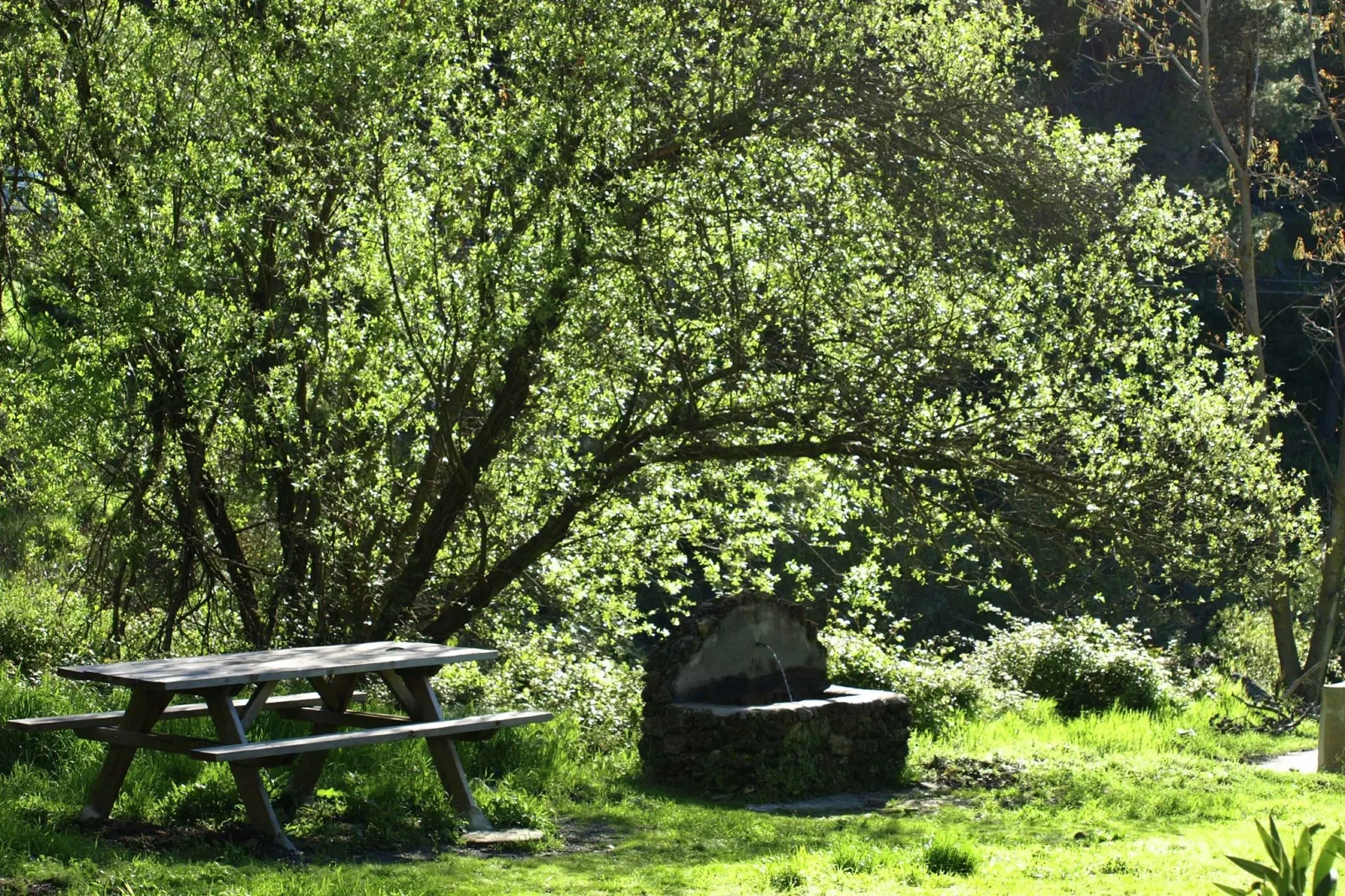 La Zamarra-Areas summer 5km