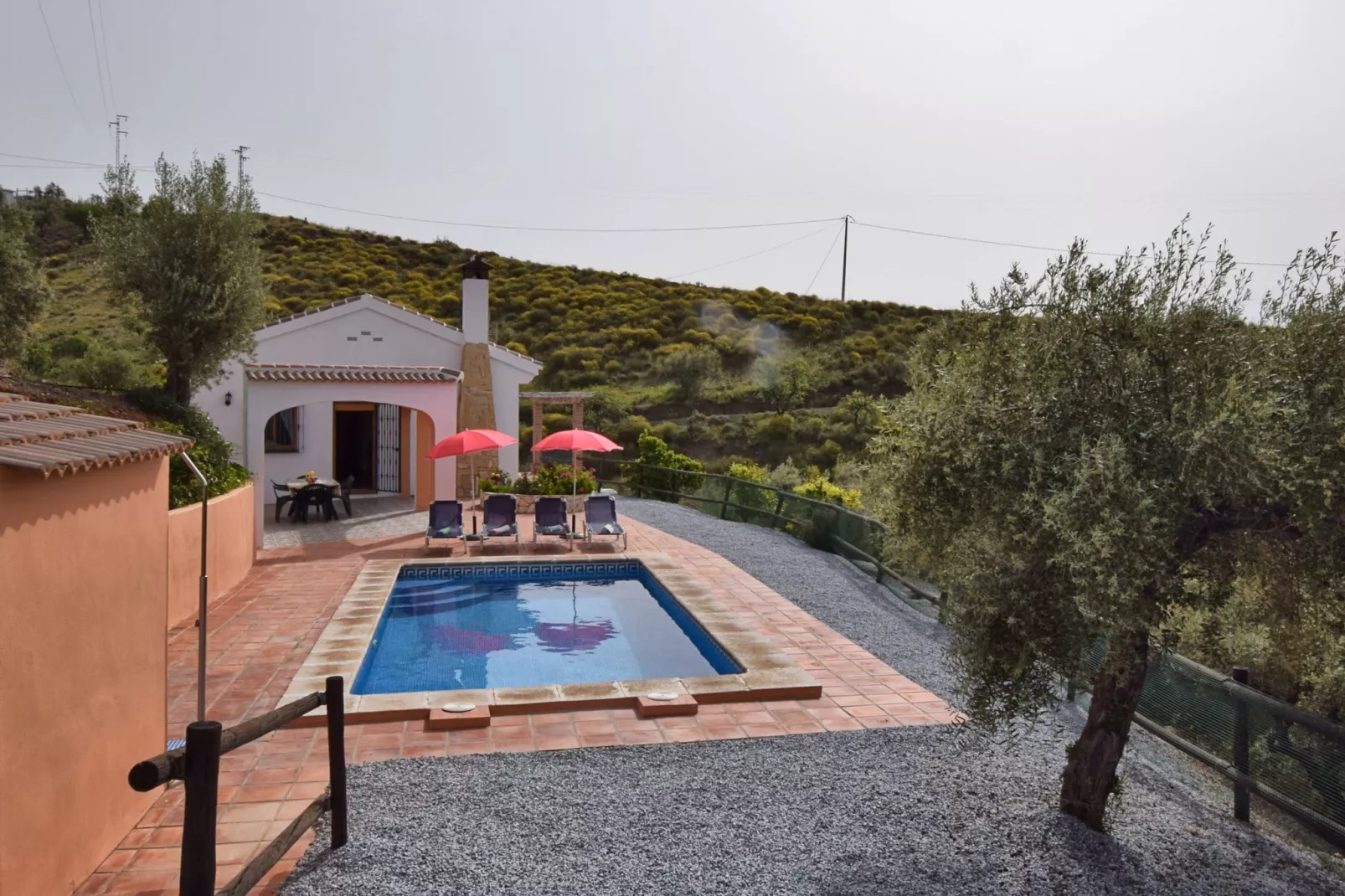 Casa Guzmán-Gardens summer