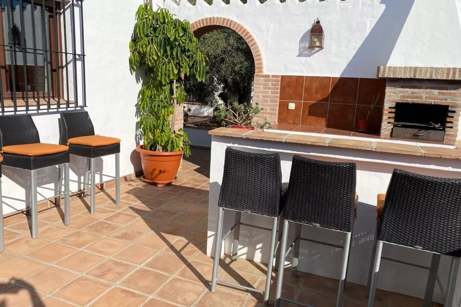 Cortijo A-Gardens summer