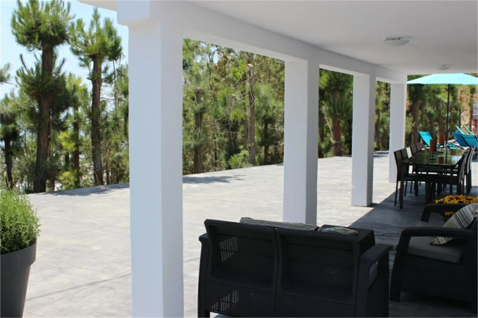 Villa Chascona-Terrace balcony