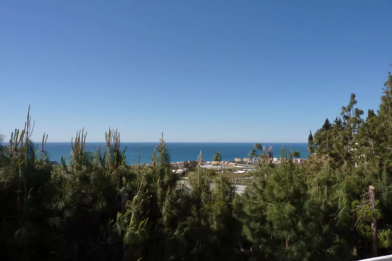 Villa Chascona-View summer