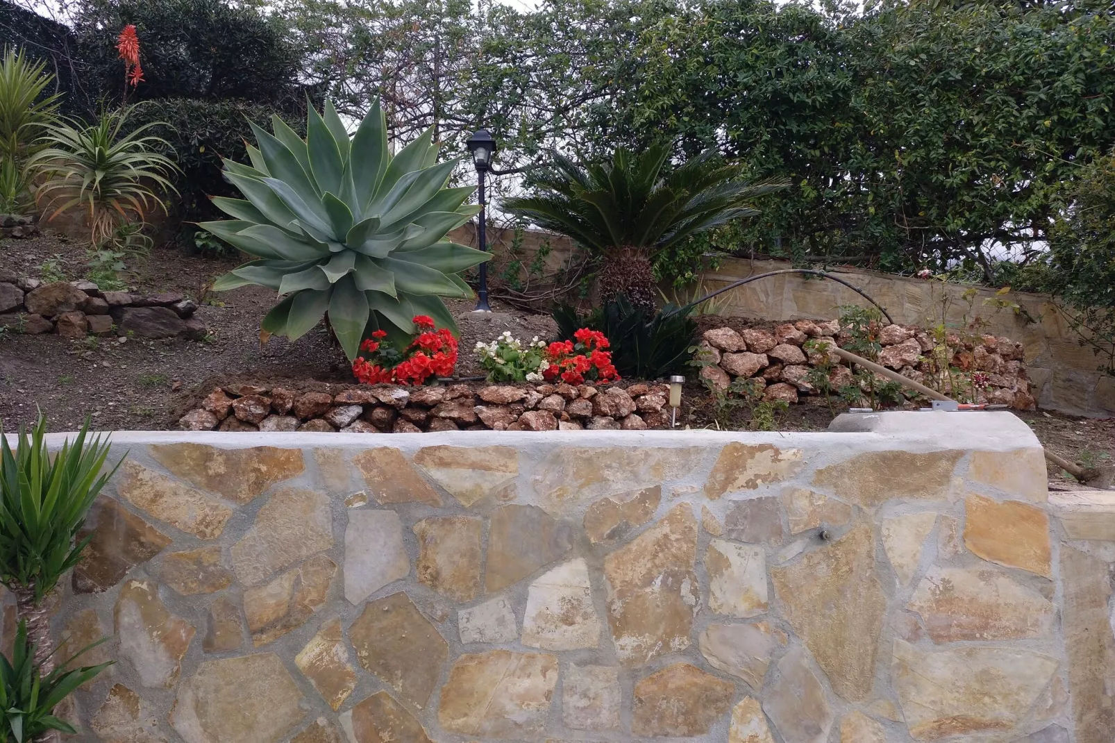 Cortijo Albaricoque-Atmosphere